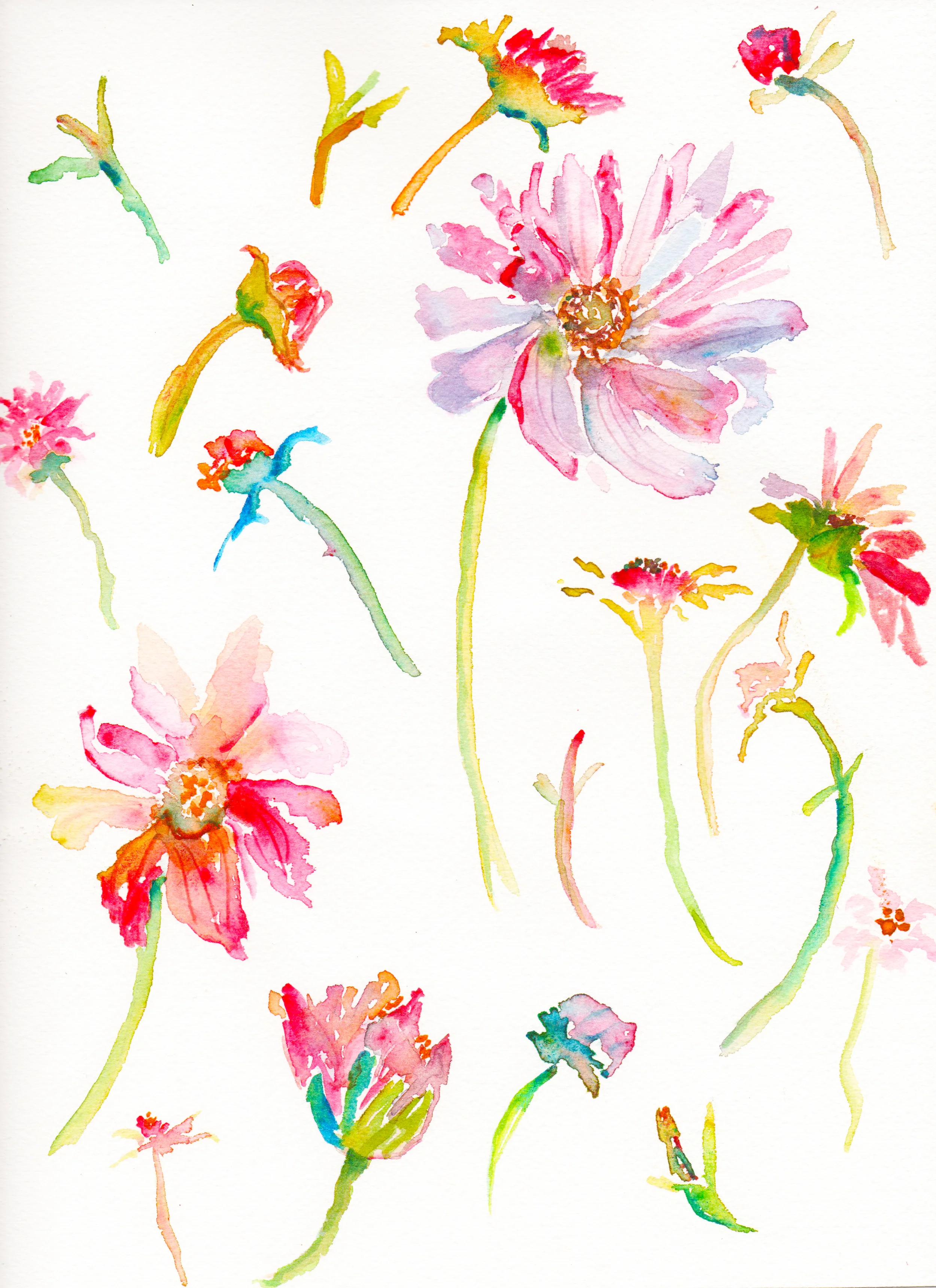 Cosmos Confetti!