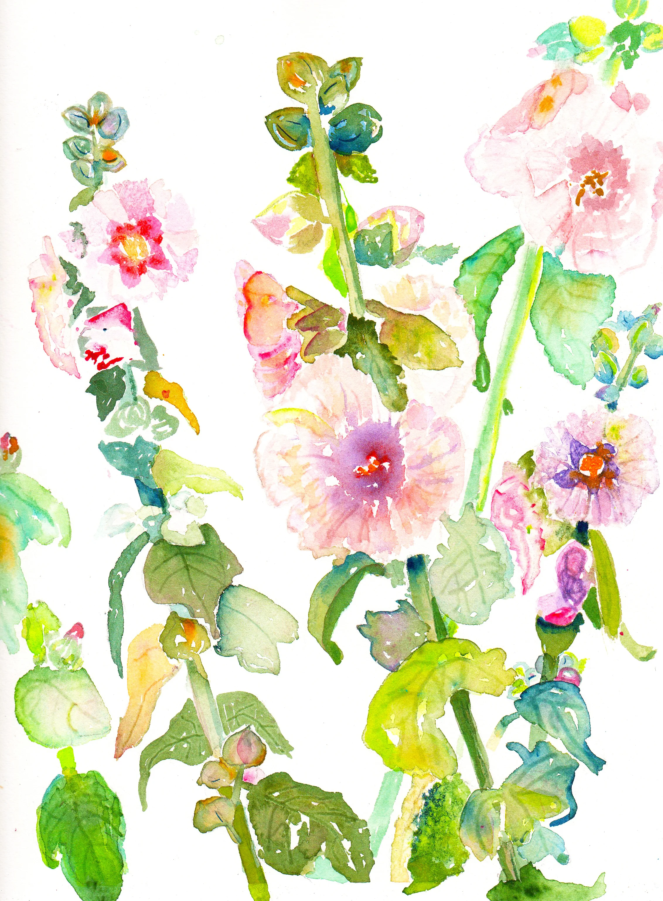 Mackinac Island Hollyhocks