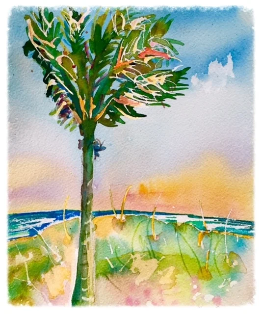 Coconut Palm 5