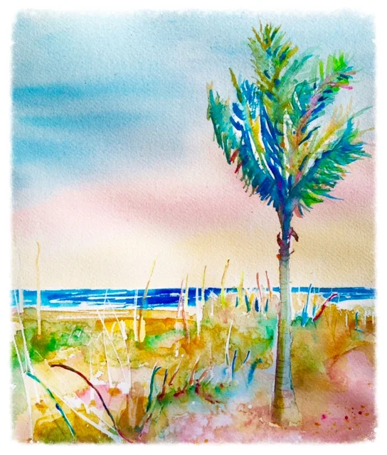 Coconut Palm 1 At Sunset 