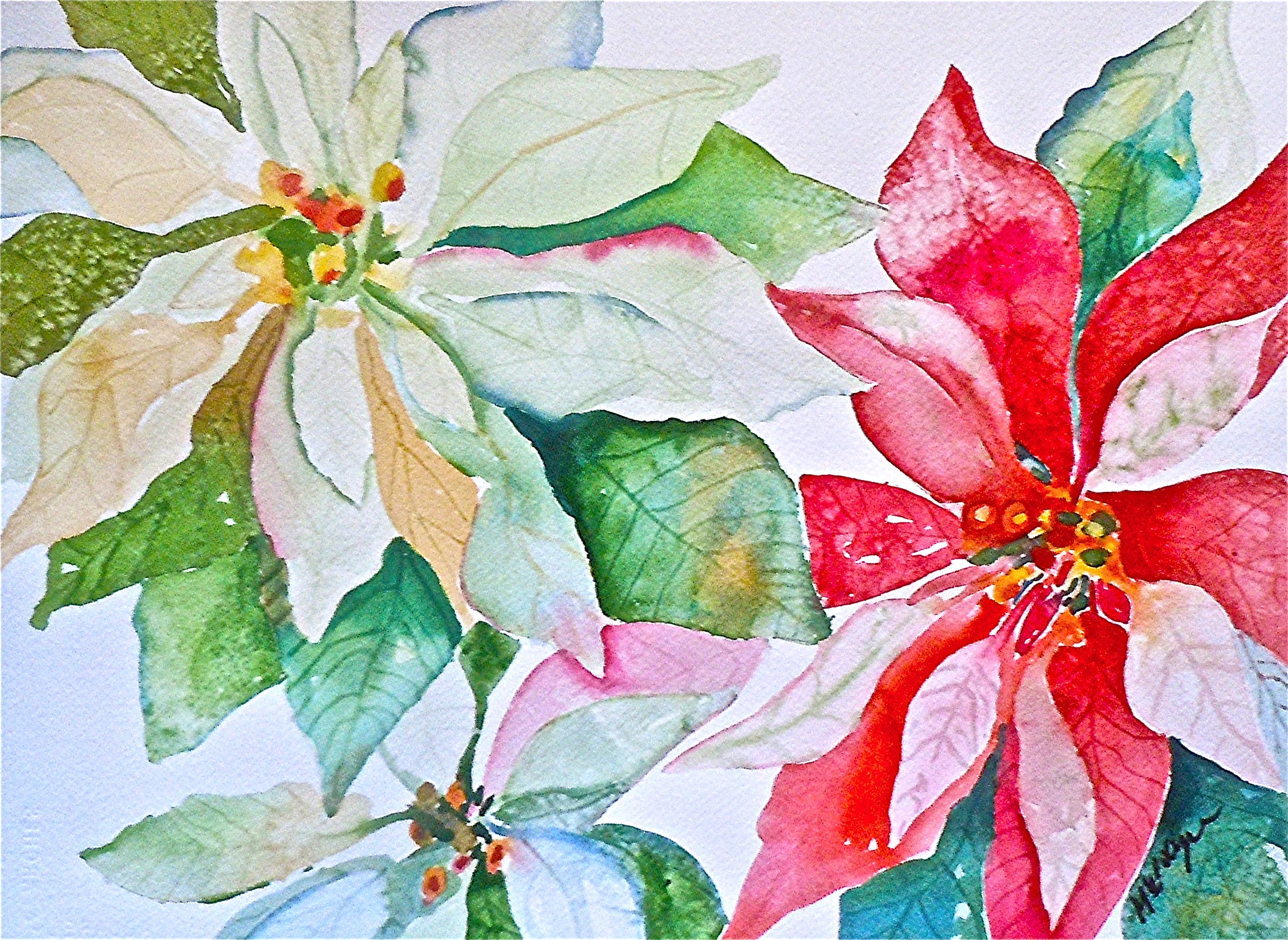 Poinsettia Mix