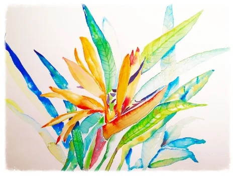 The Gulf's Bird of Paradise