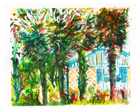 Resort  Palms
