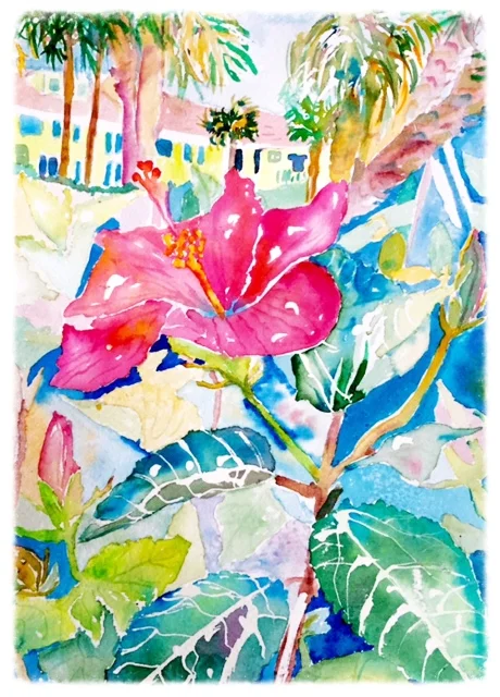 Hibiscus Near Gasparilla Inn