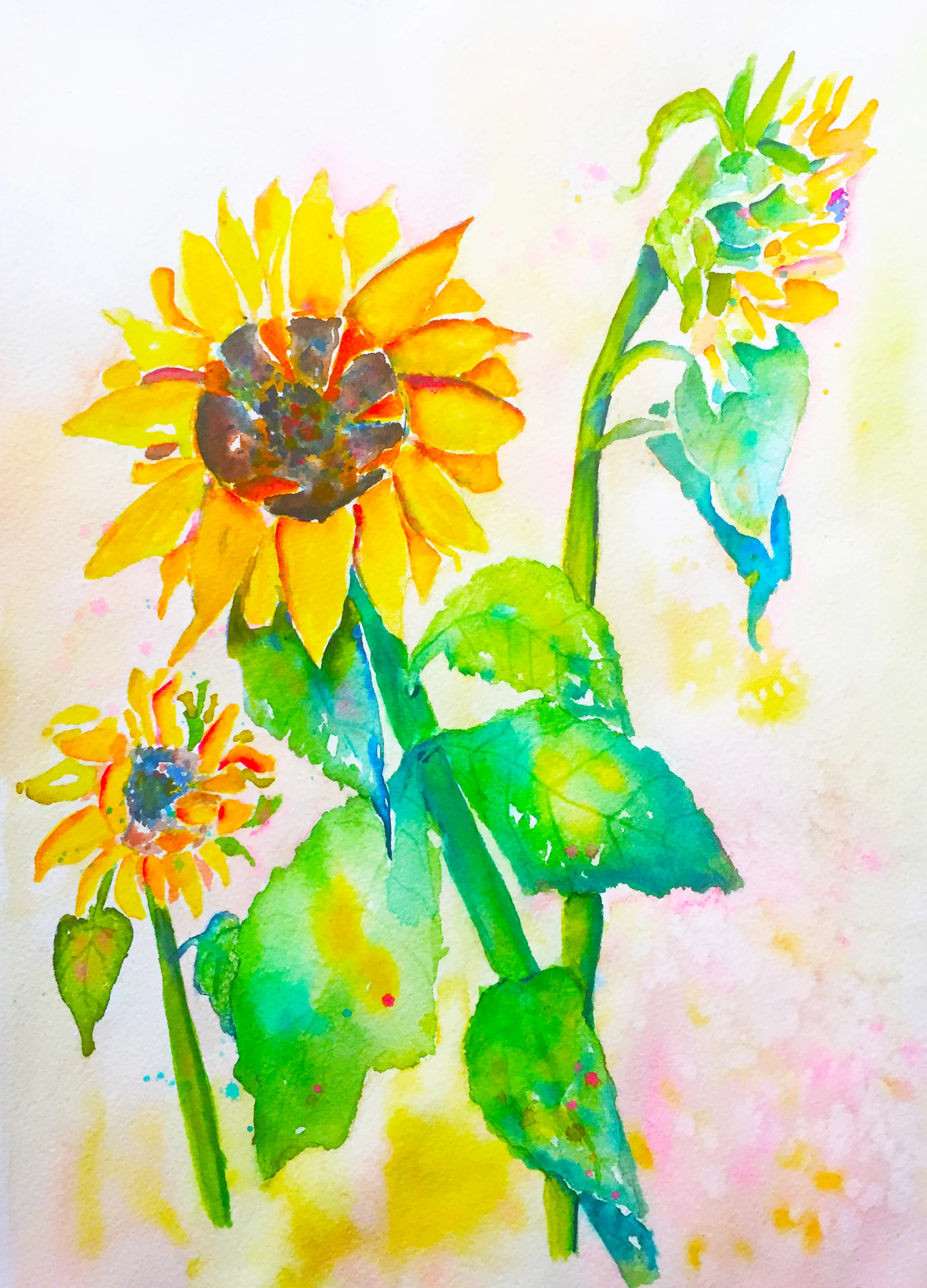 Sunflower Days