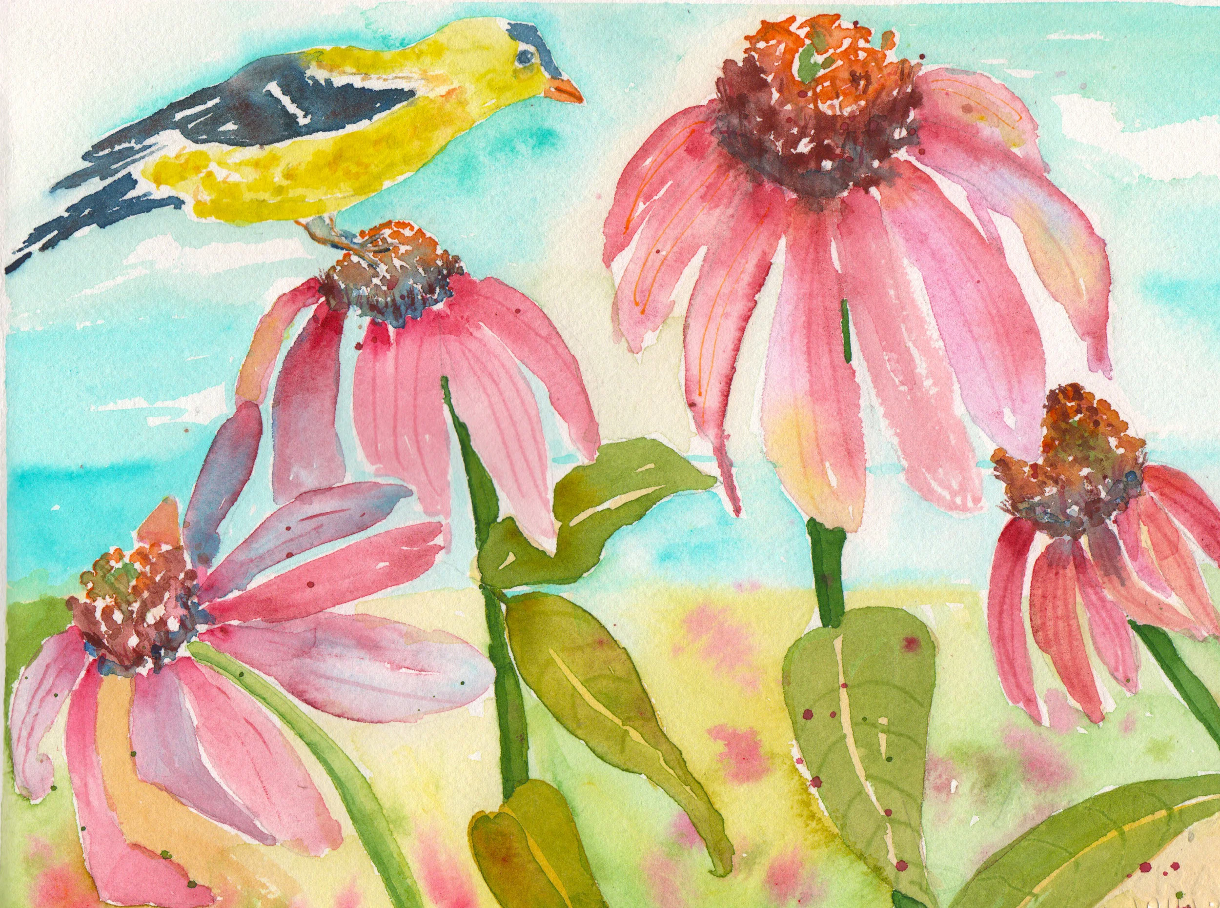 Goldfinch on Coneflowers 