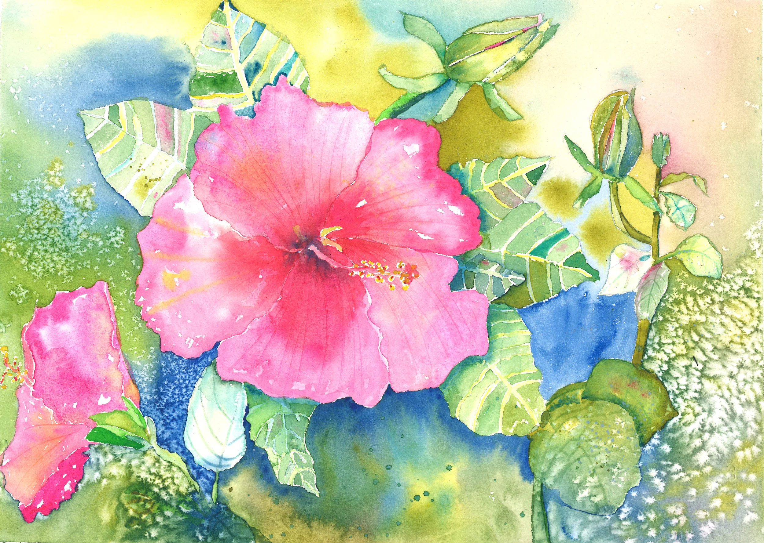 Hibiscus Dreams