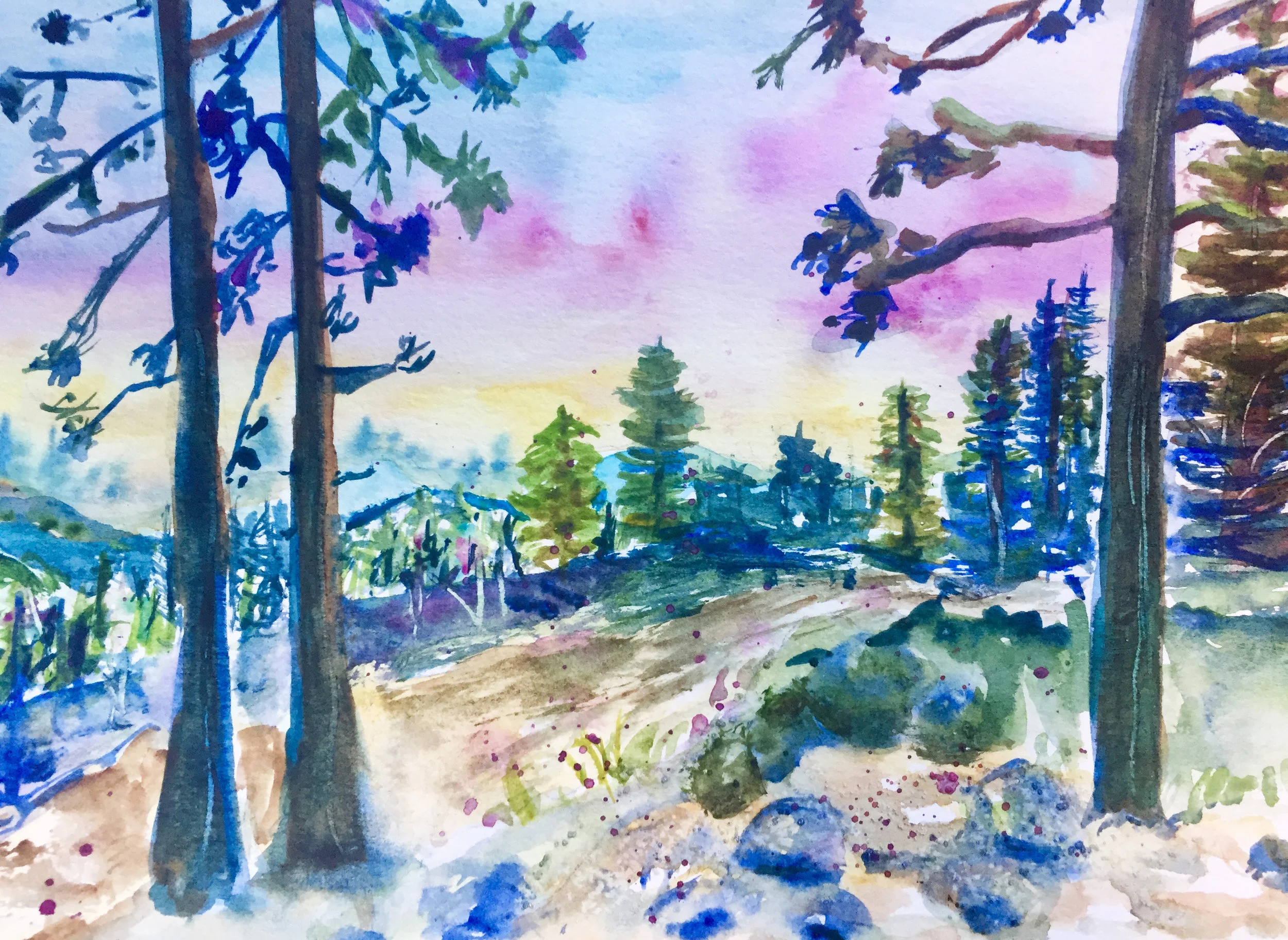 Sequoia Sunset