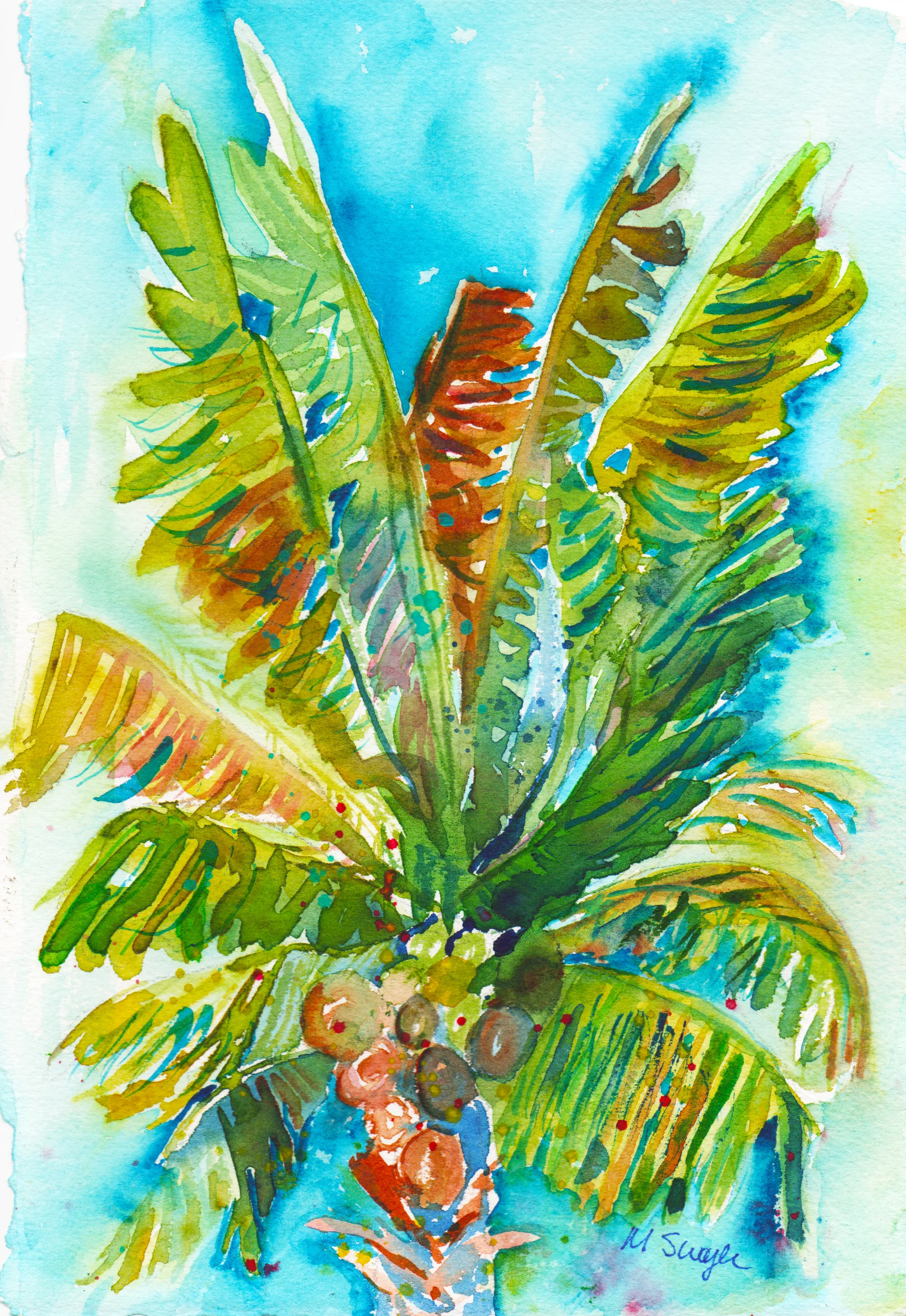 CocoPalm Top2