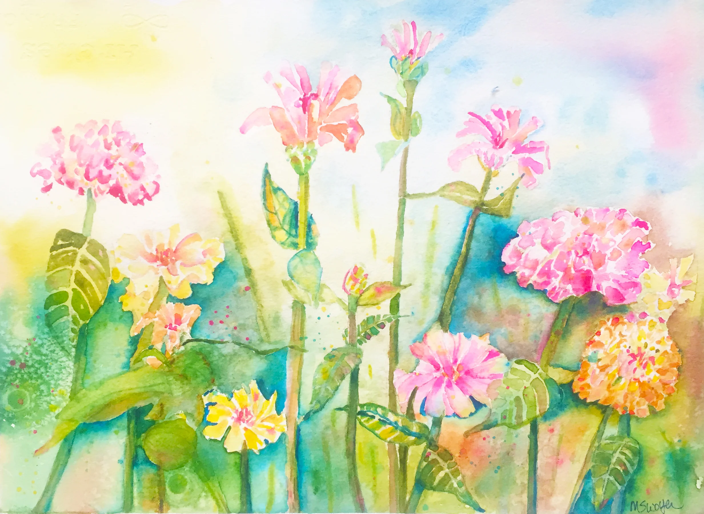 August Brights, Zinnias!