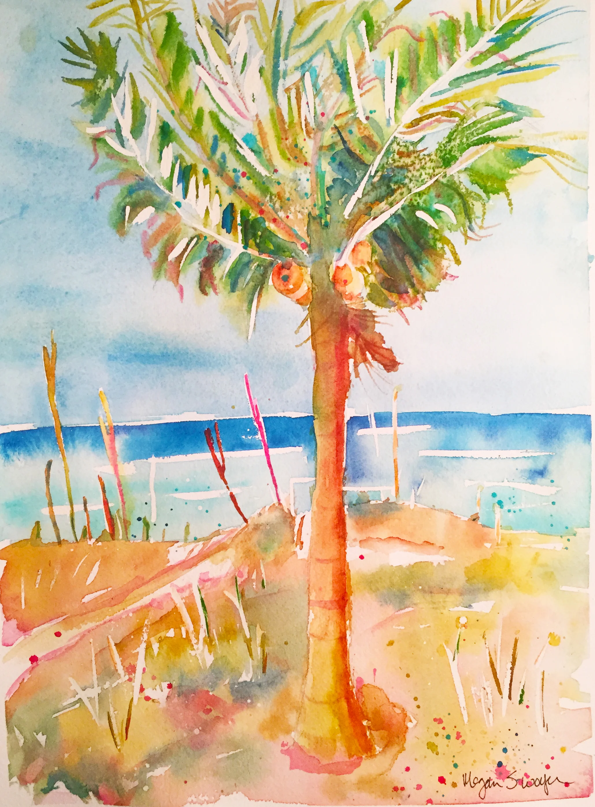 Solo Palm 2