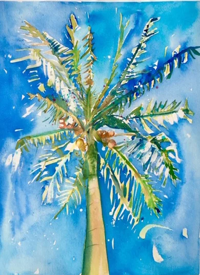 Palm Top on Blue Sky