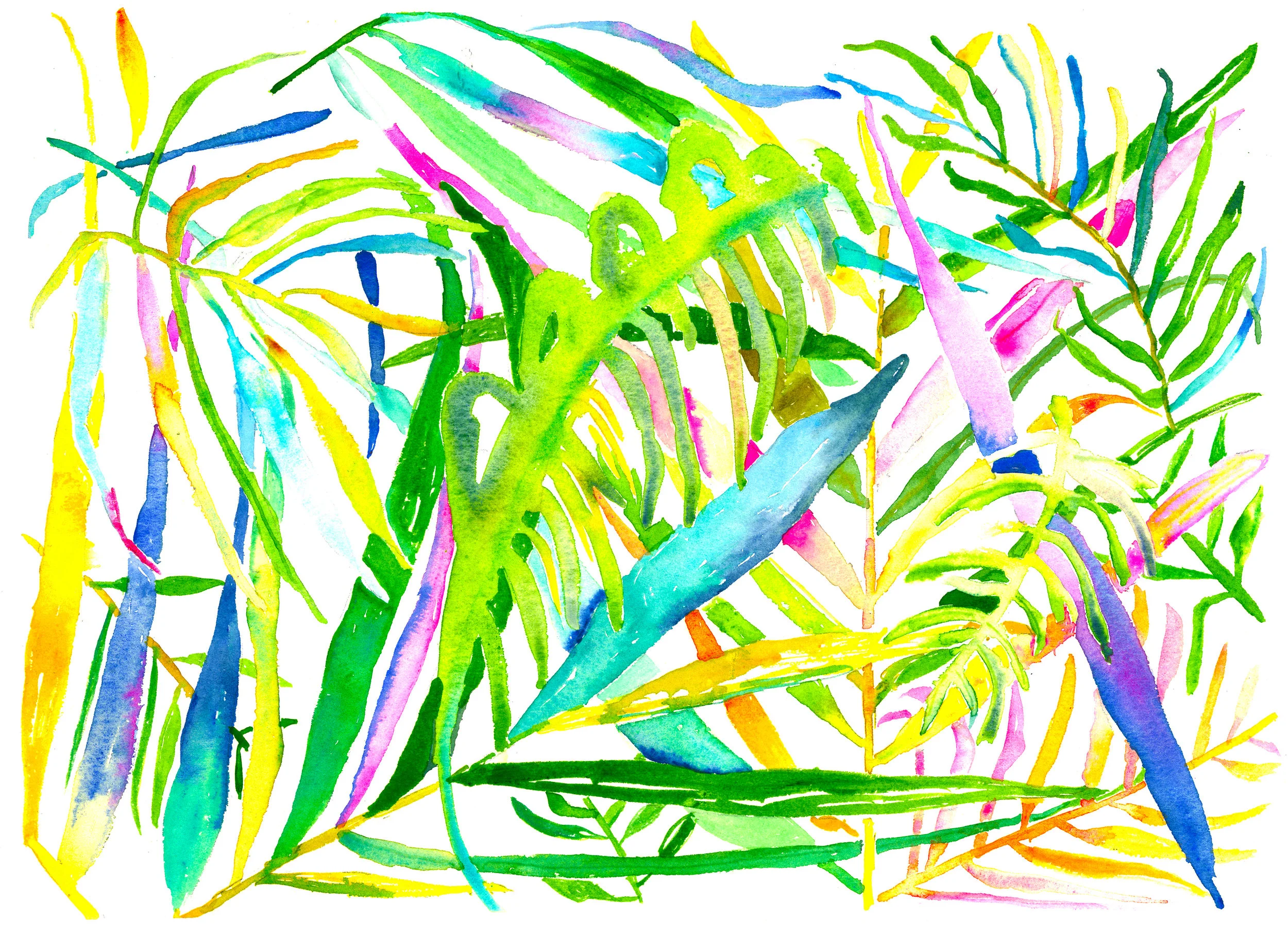 Palm Fronds