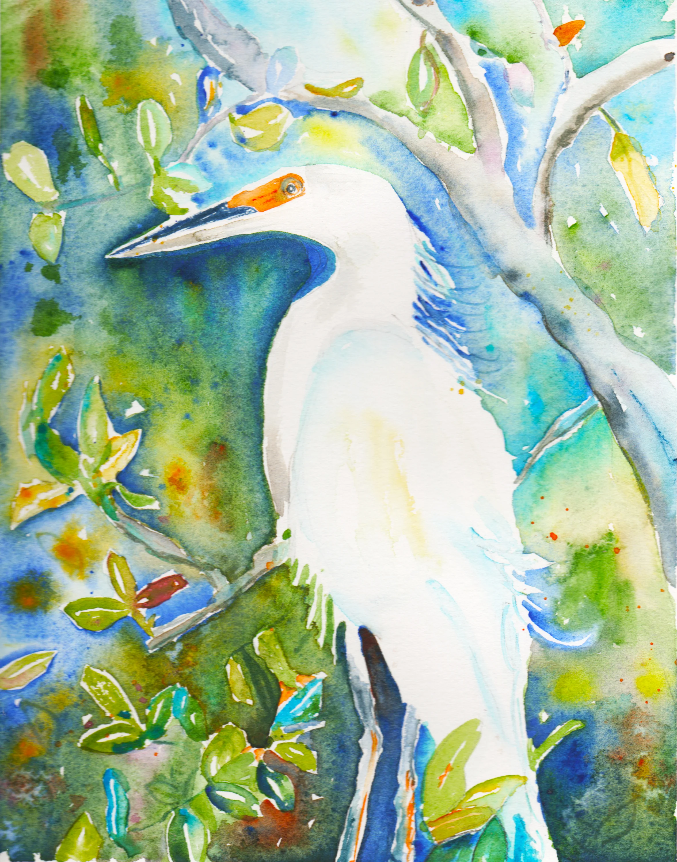Longboat's Snowy Egret