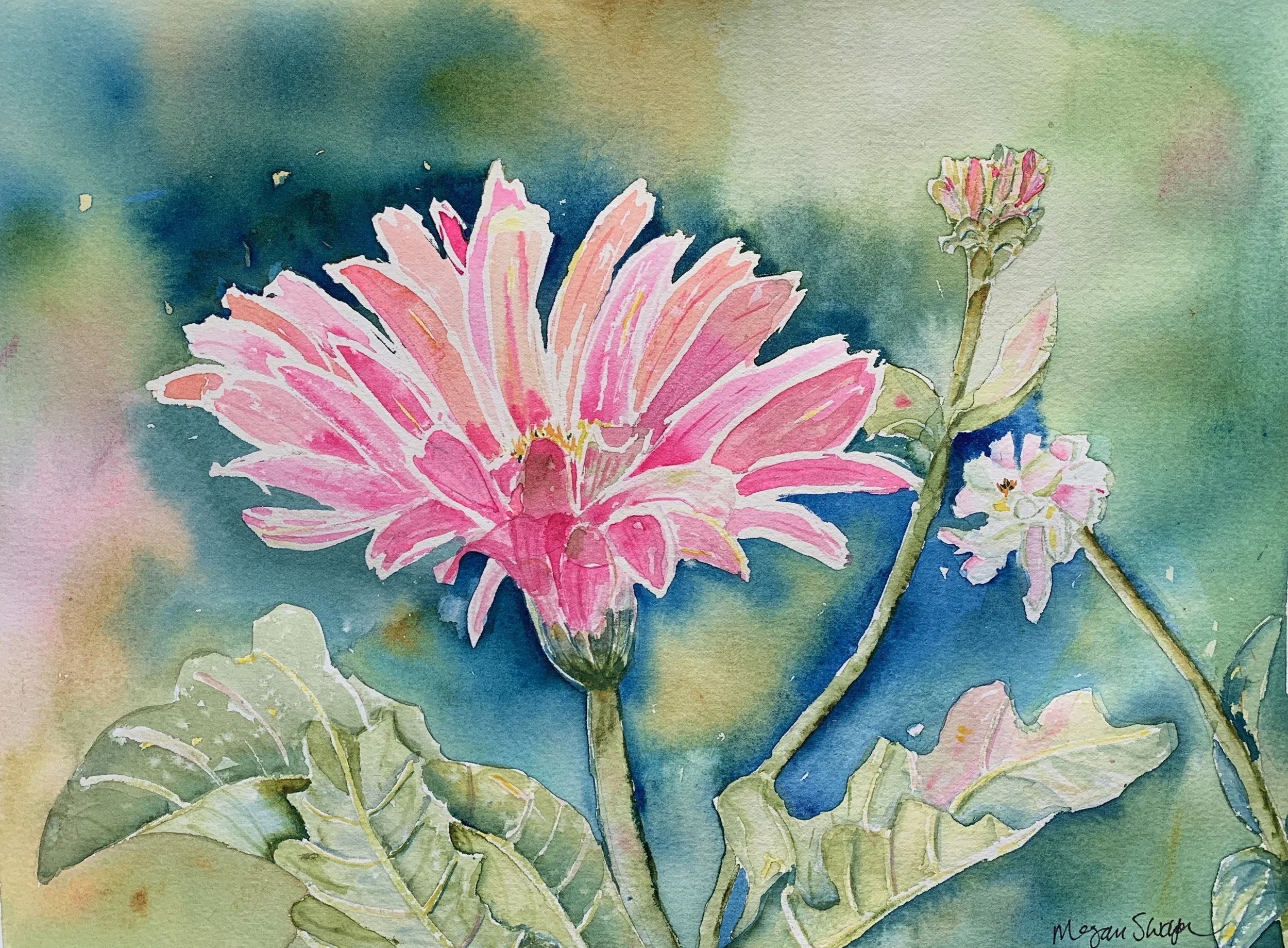 Pink Gerbera Daisy