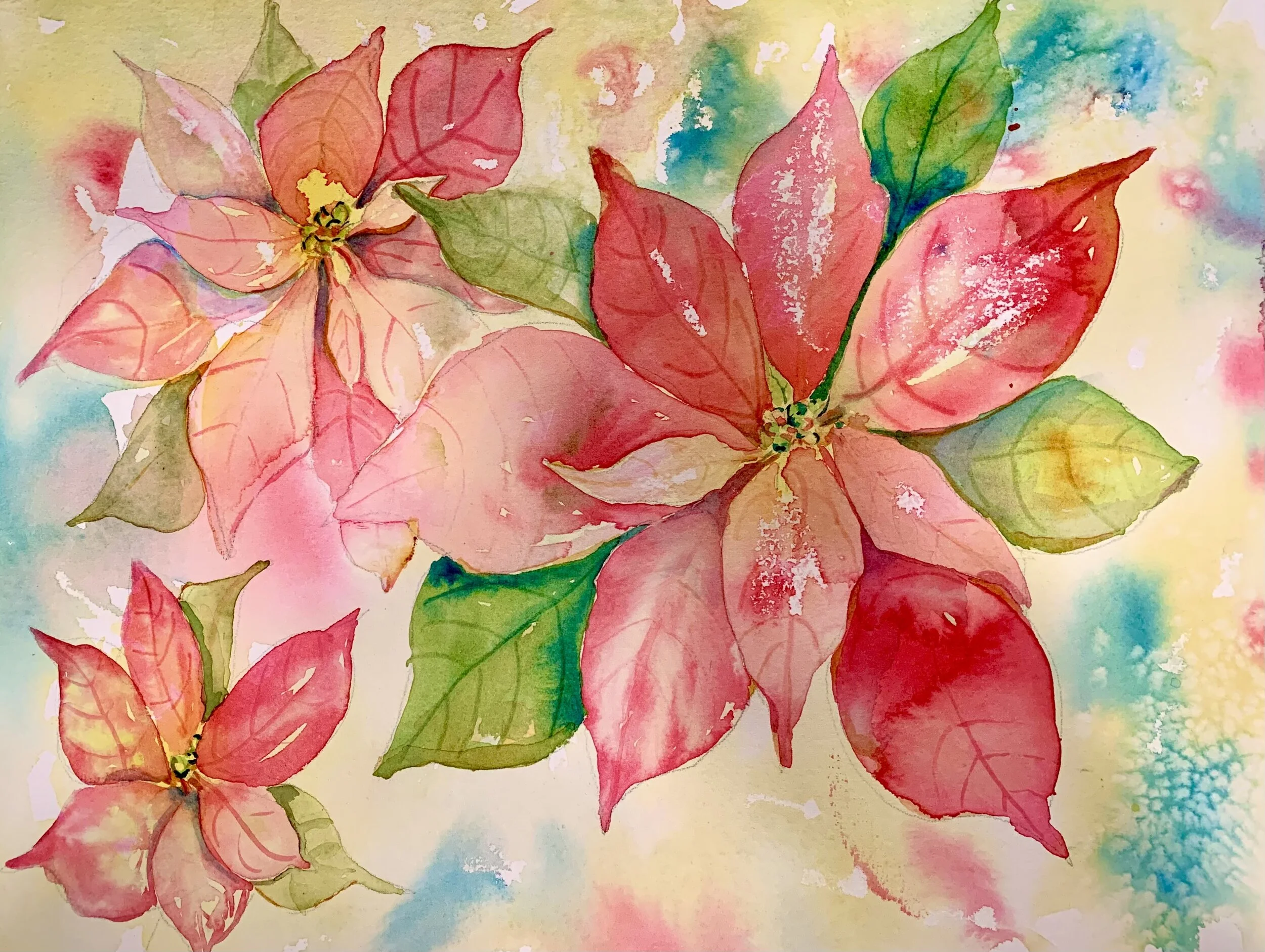 Pink Poinsettia Pops