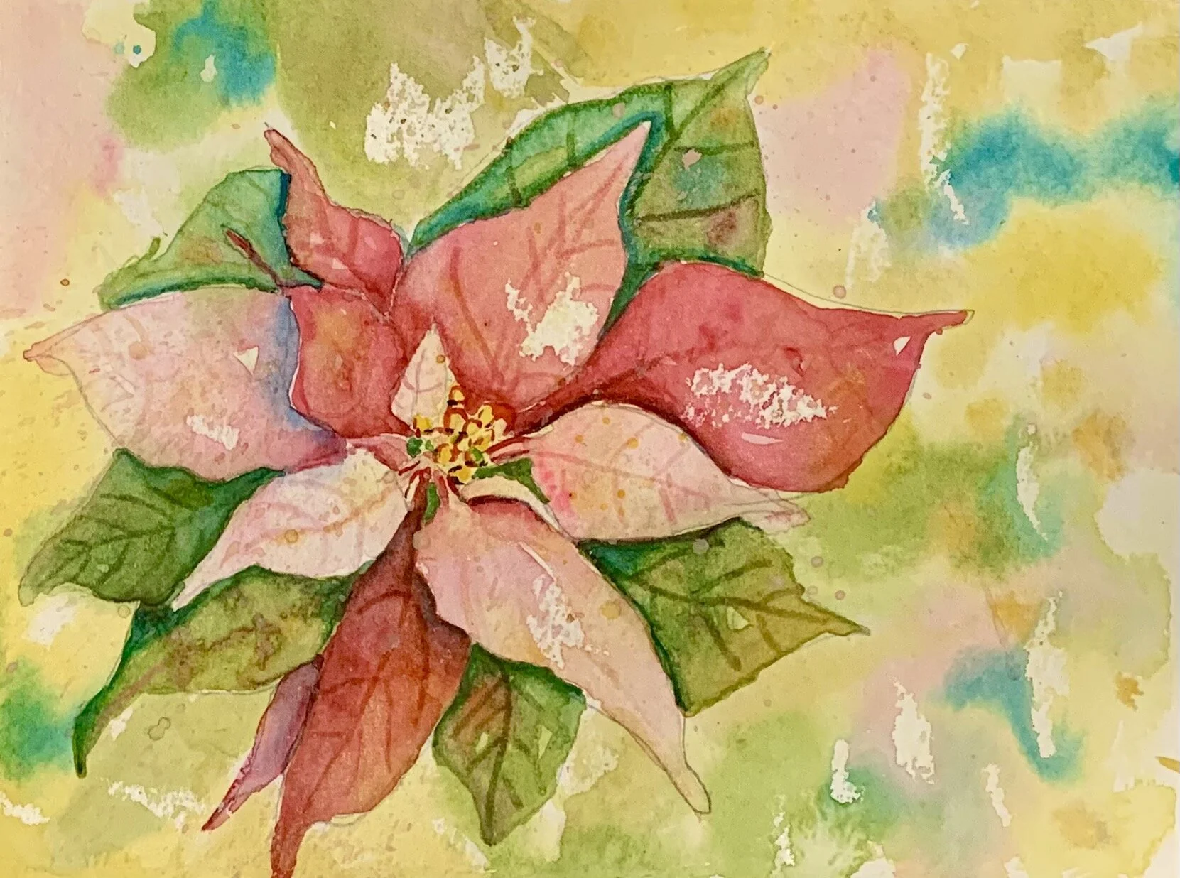 Little Pink Poinsettia! 