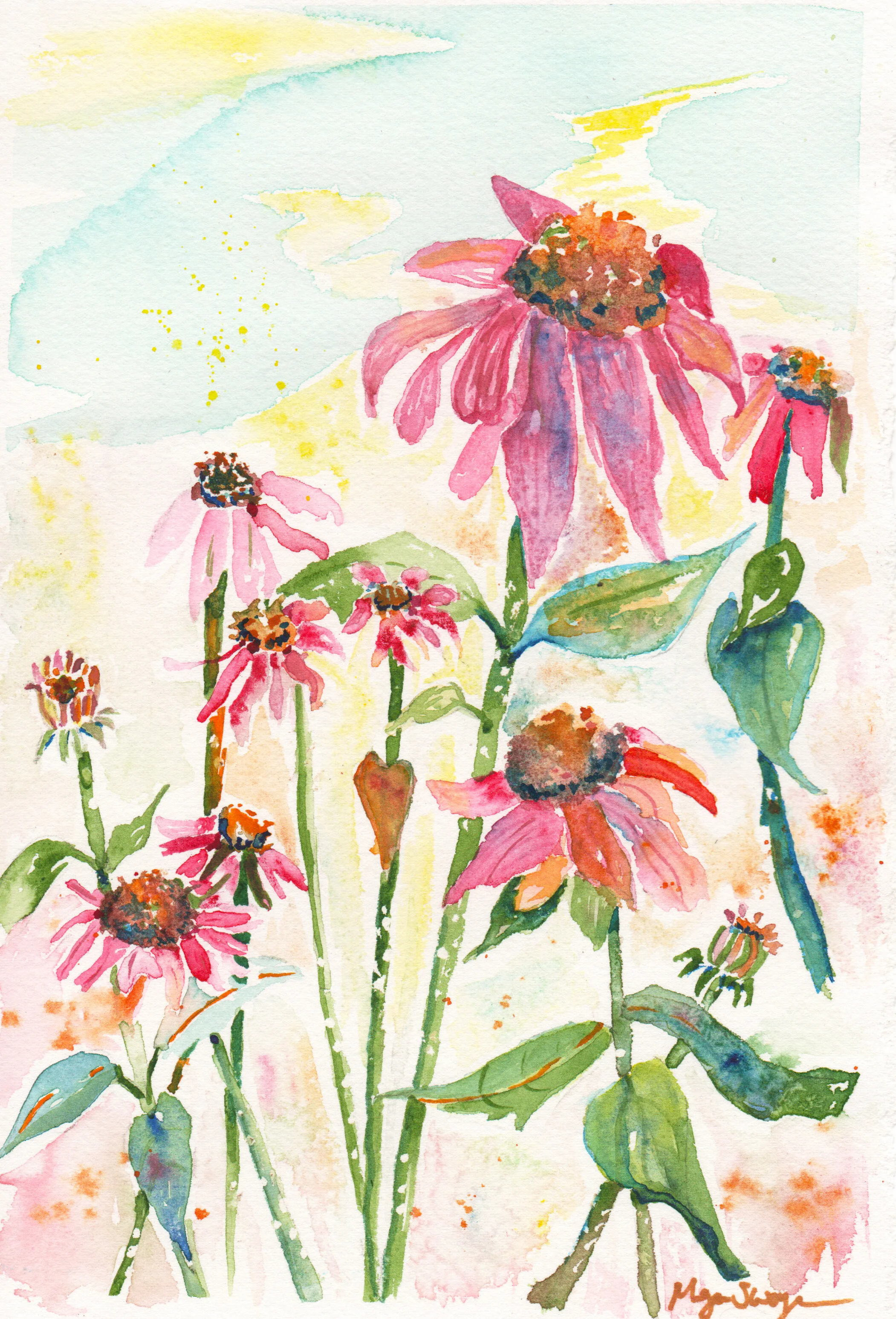 "Coneflower Confetti 2"
