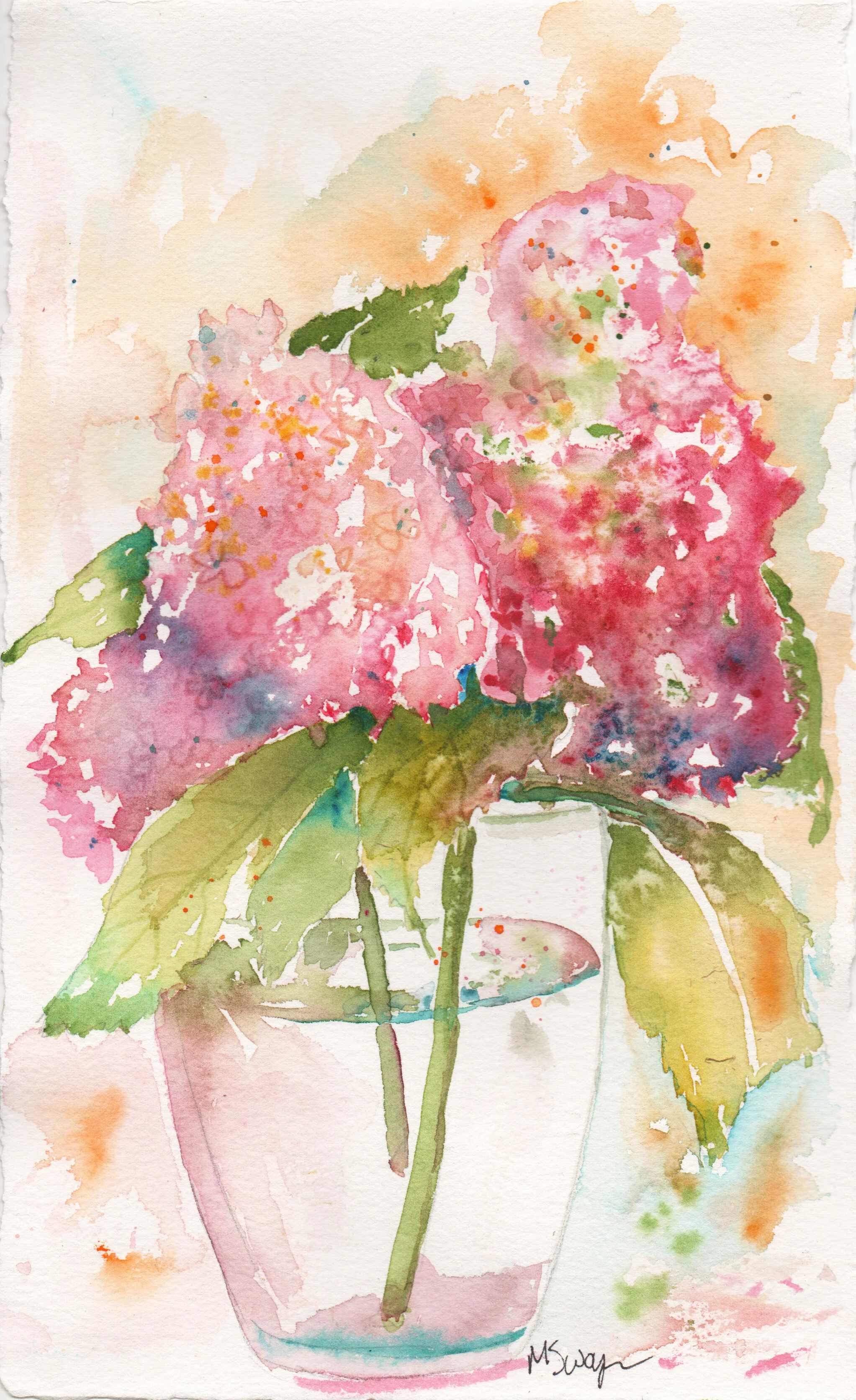 Pink Hydrangea