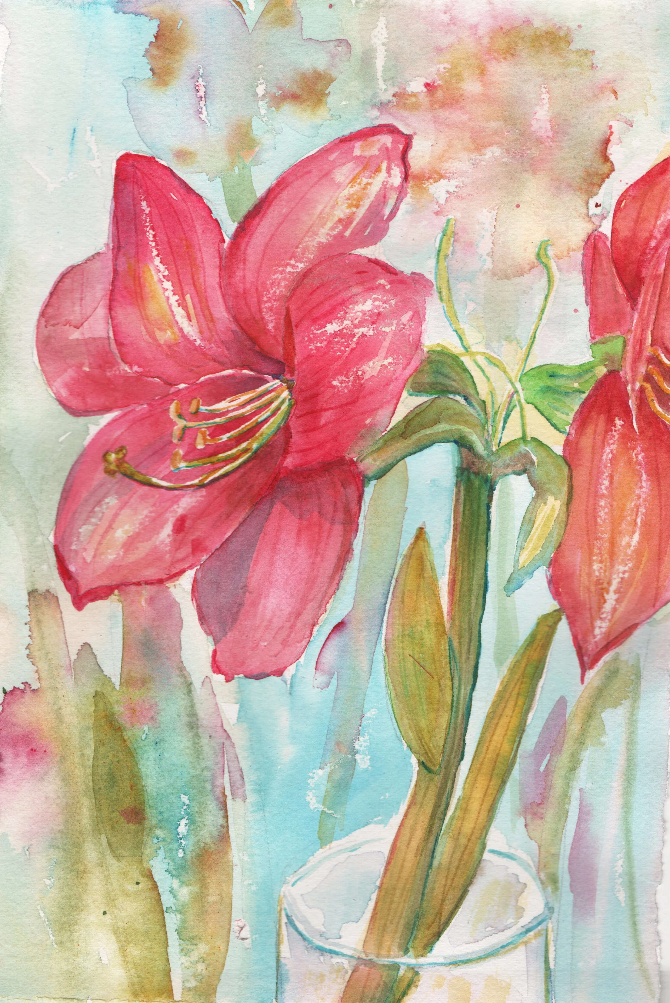 Amaryllis in Vase
