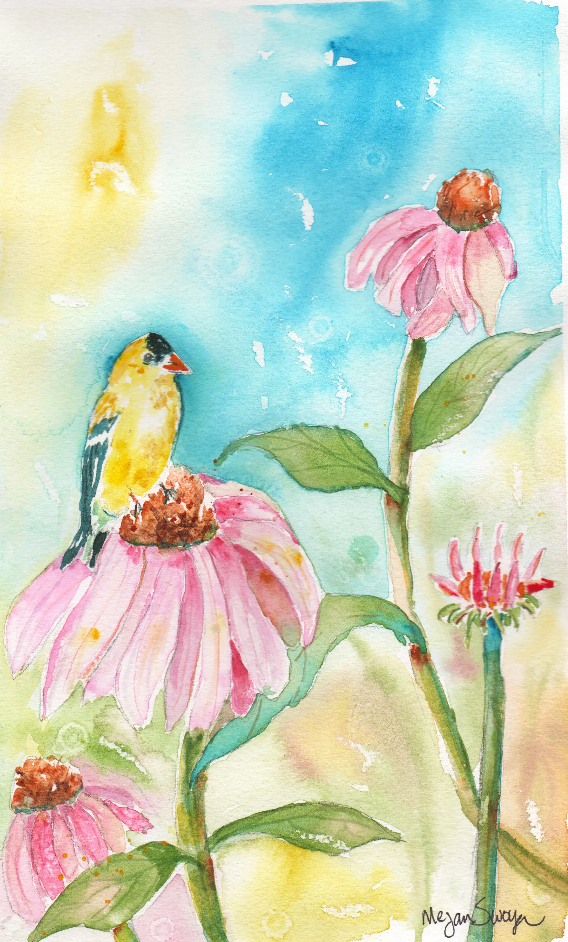 "Finch and Coneflowers Under the Sun"