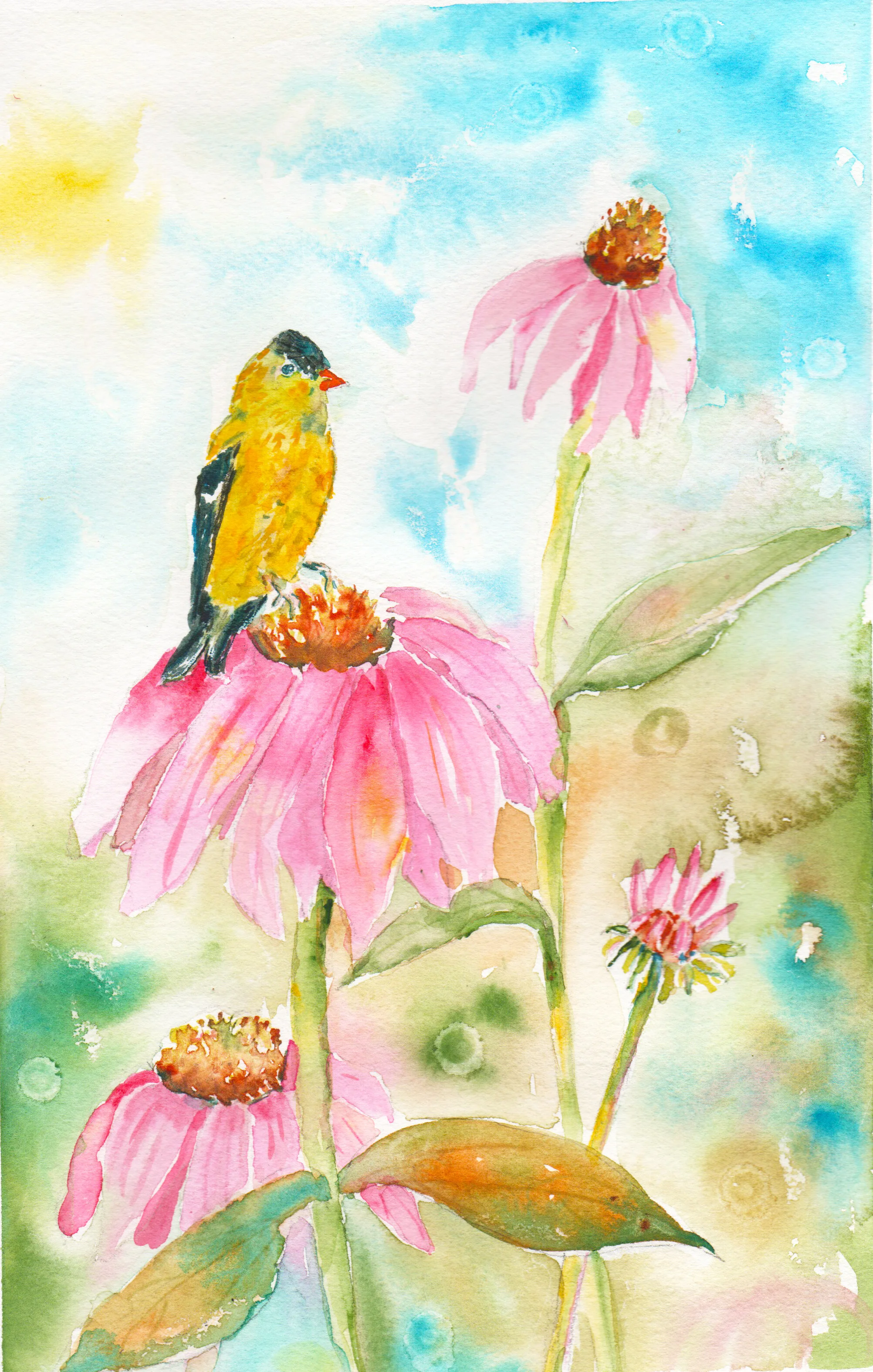 "Finch and Sunshine"