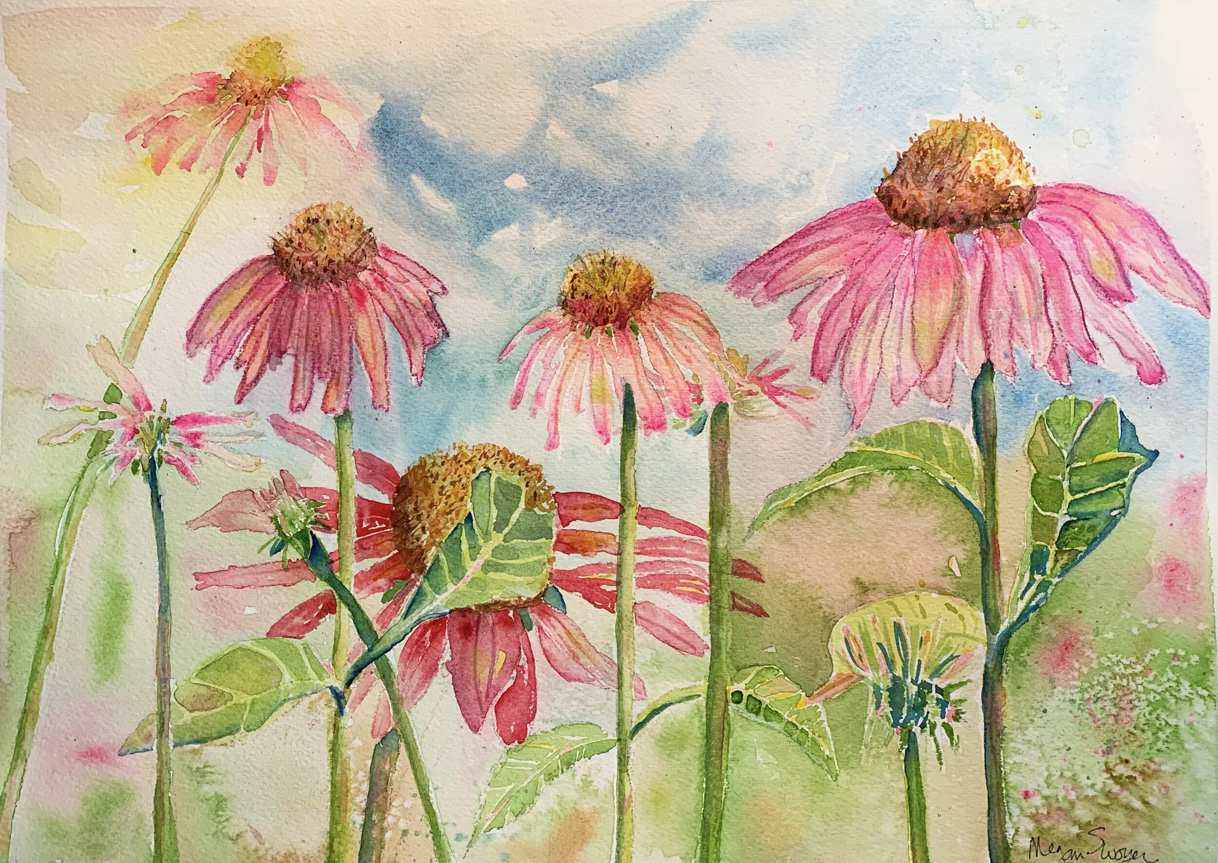 "Coneflowers in My Garden"
