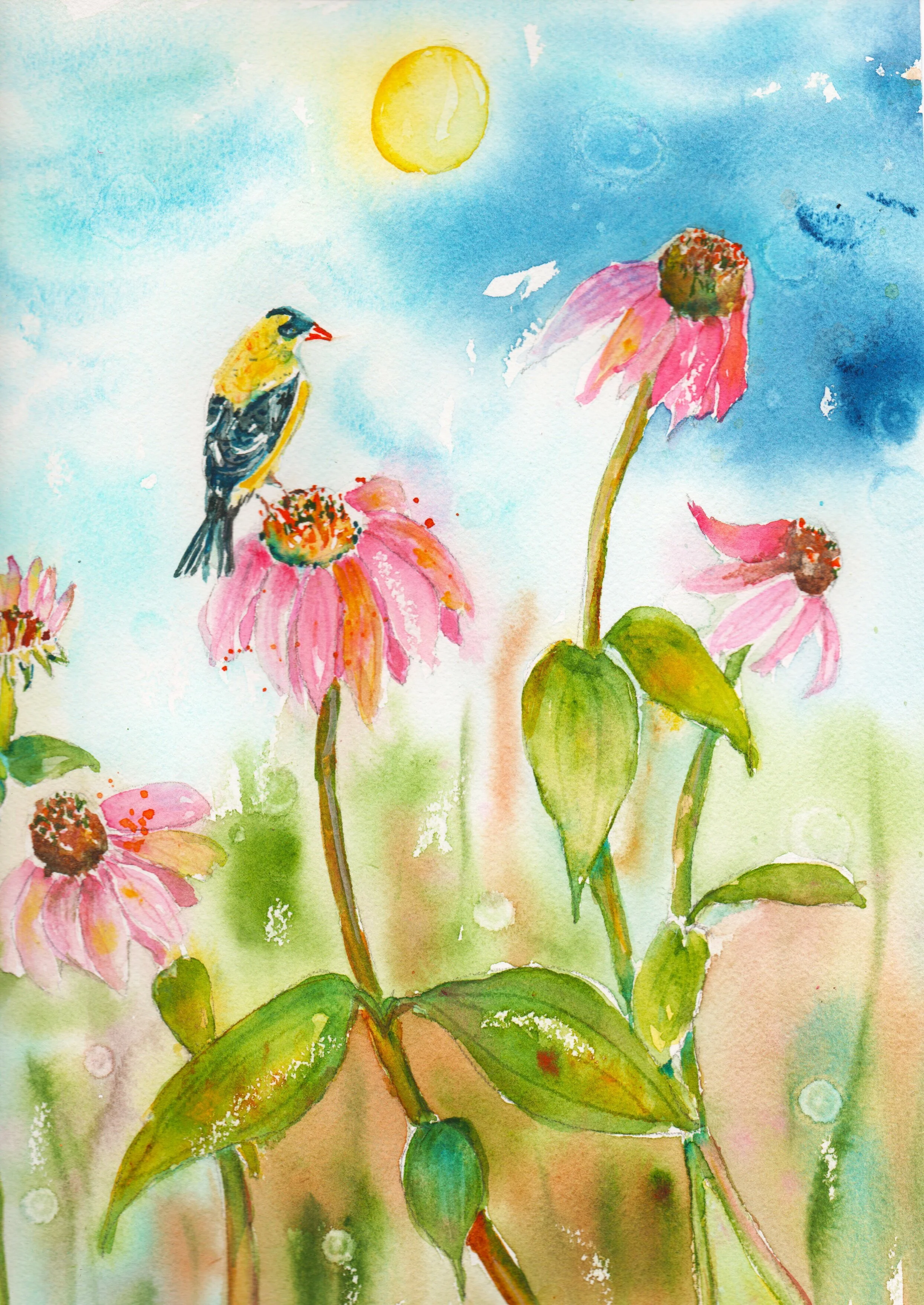 "Finch Under the Sun"