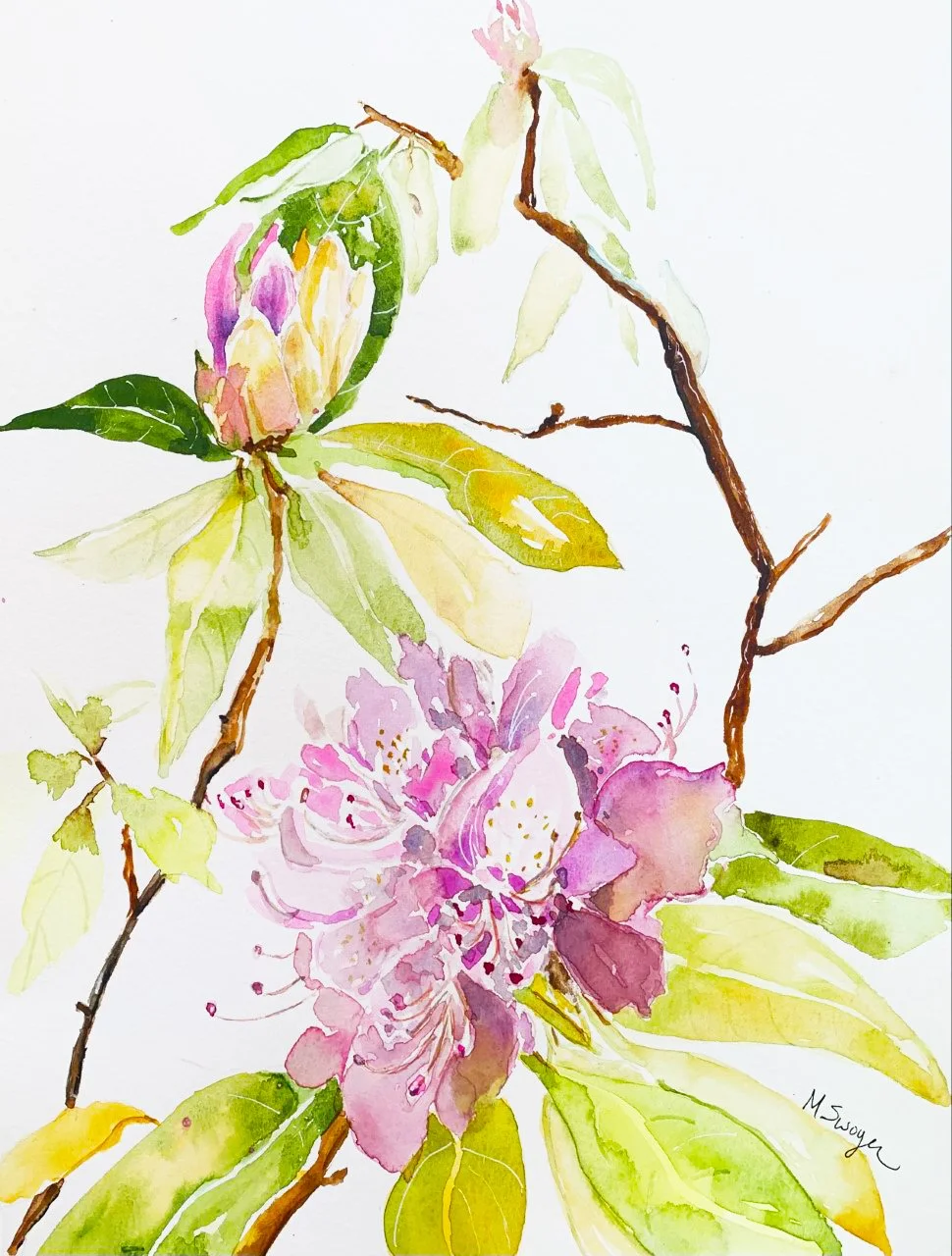 "Reveling in Rhodies"