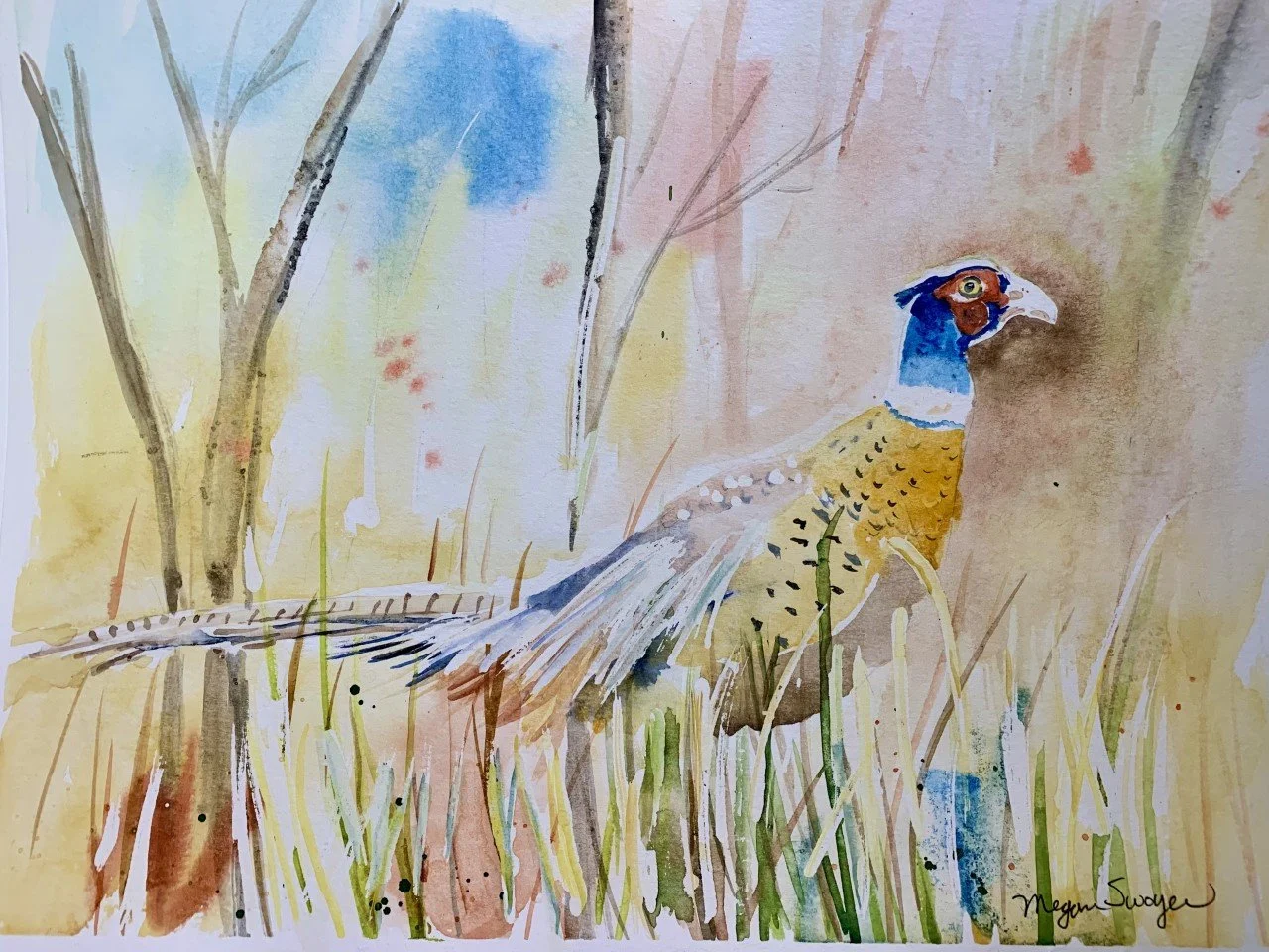"Pleasant Pheasant 2"