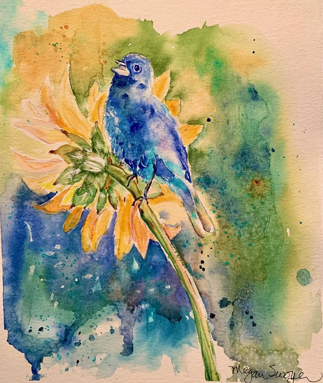 "Indigo Bunting on Sunflower"