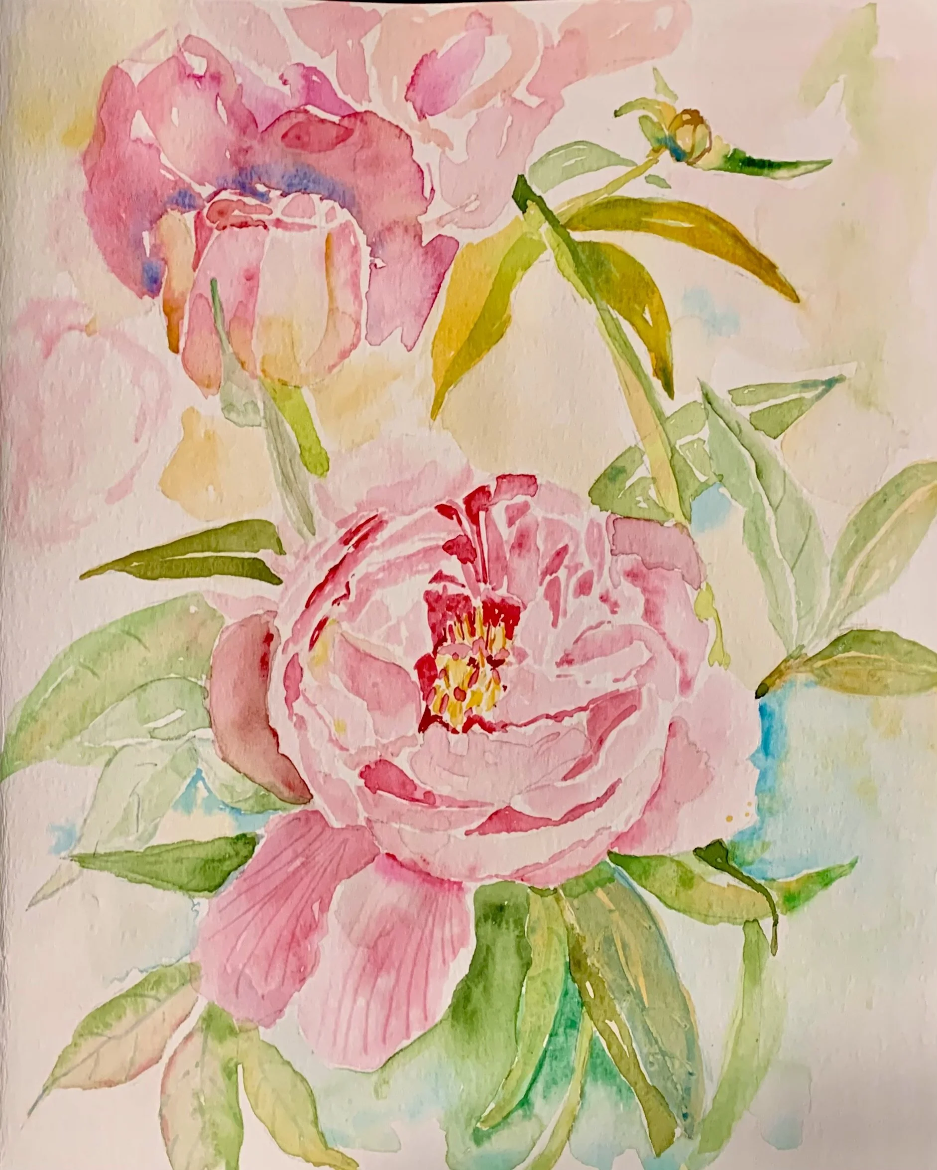 Pink Peonies