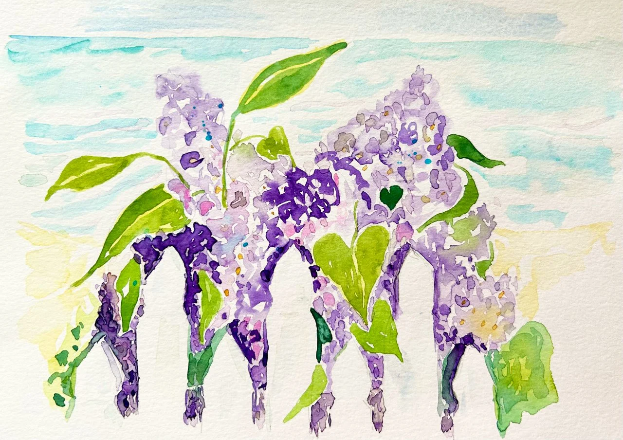 "Lilacs & White Fence"
