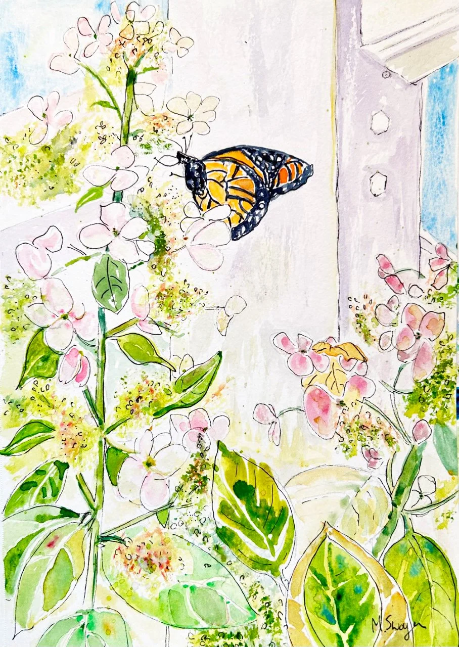 "Monarch & Hydrangeas"