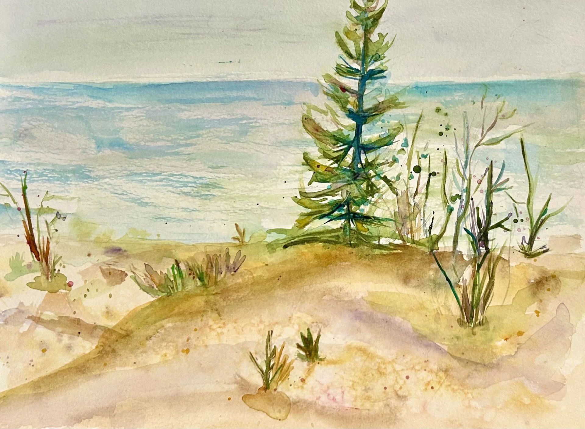 "Harbor Springs Afternoon." 