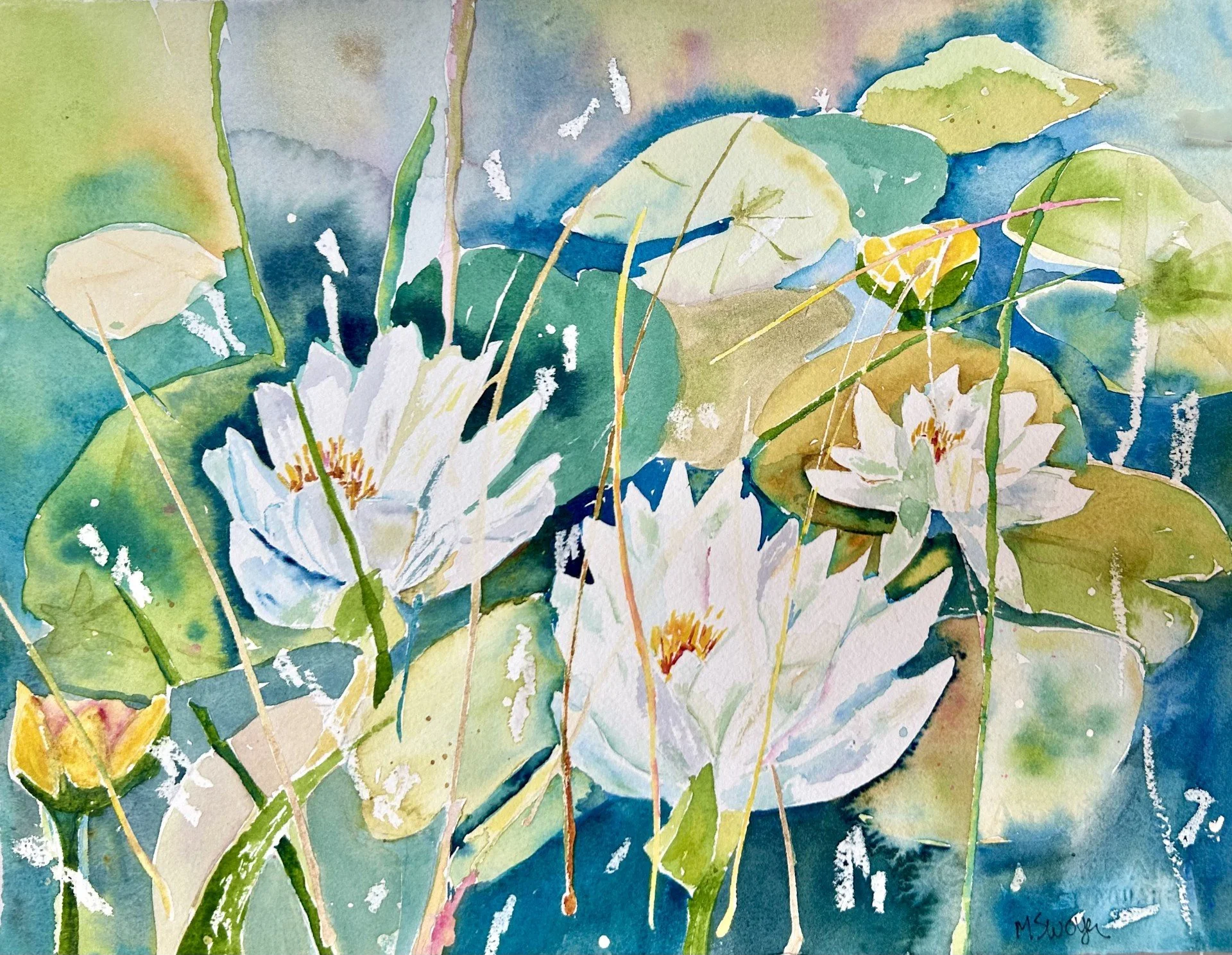 "Northeast Michigan Waterlilies" 