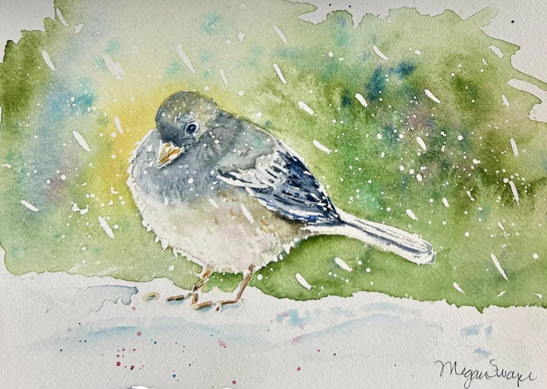 "Junco's Winter" 