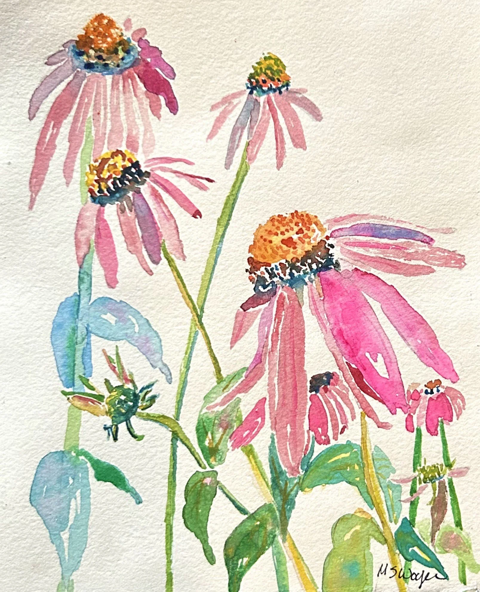 "Coneflower Mingle"