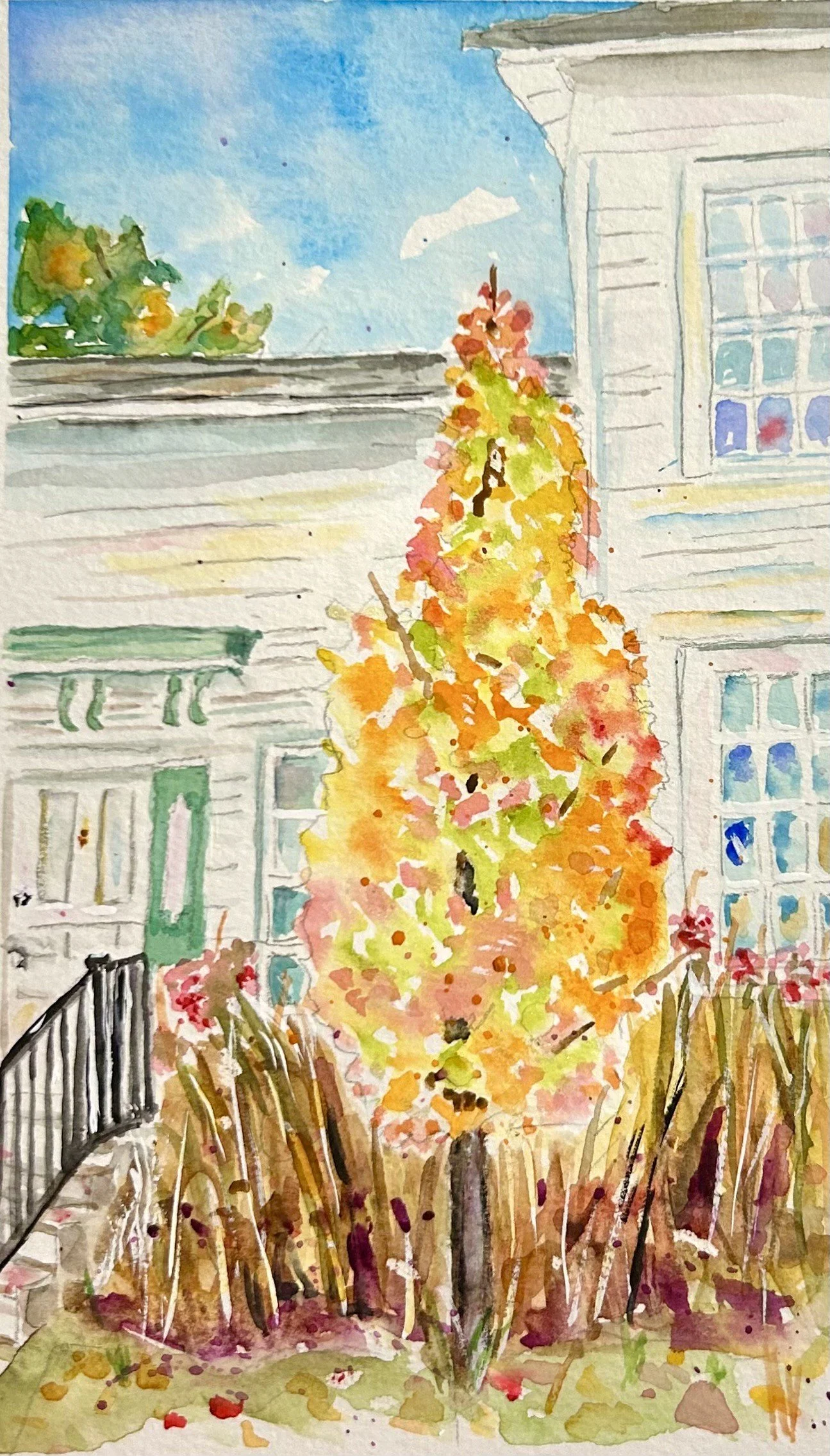 "Niles-Barnard Historic Home" 