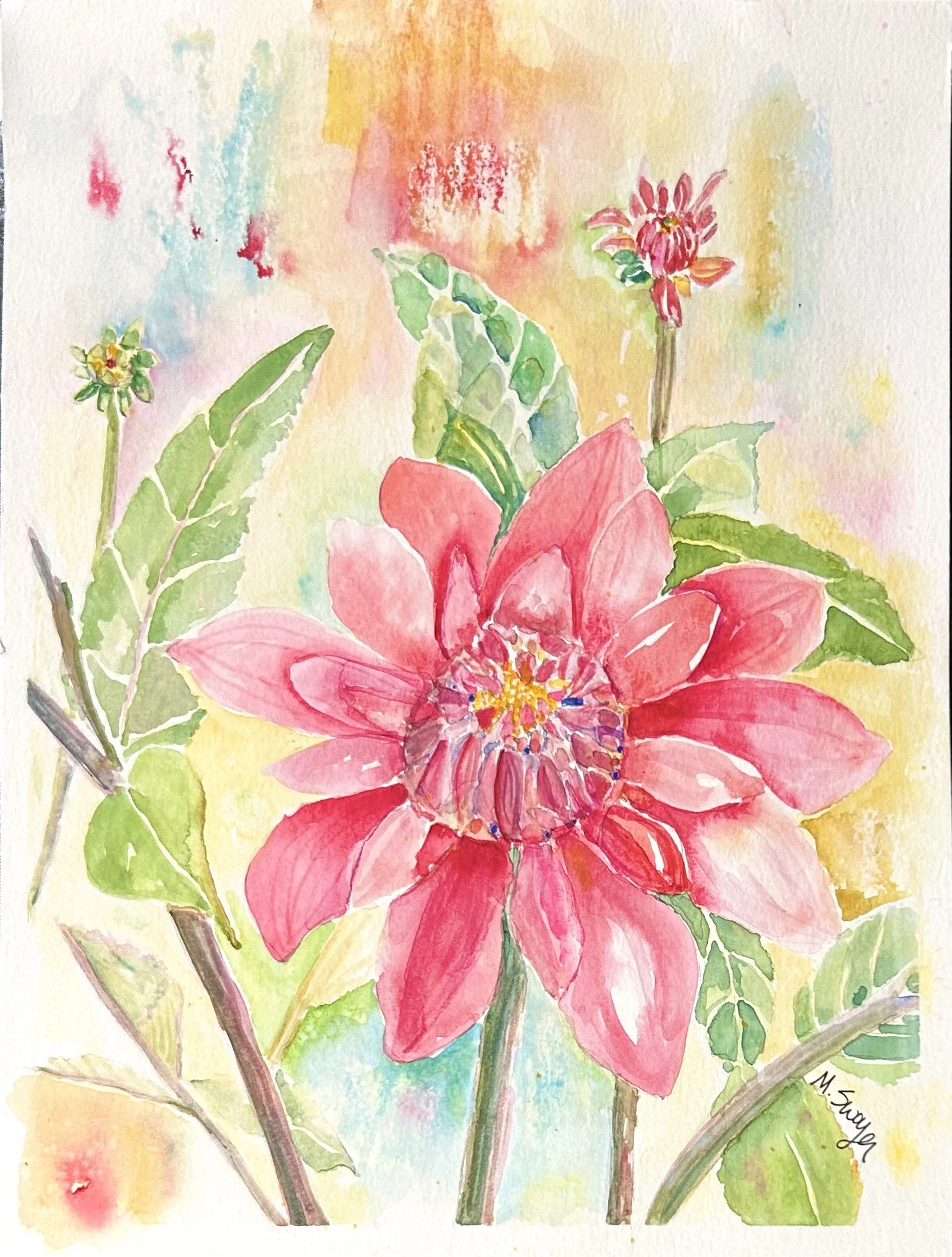"Dahlia Daze"