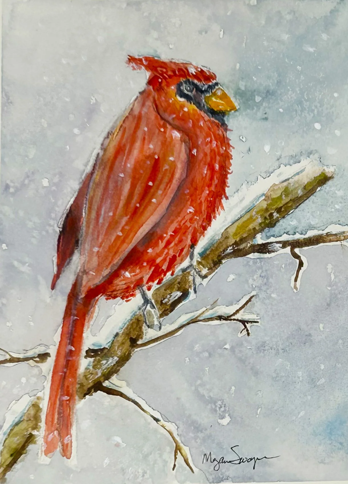 "Cardinal in Snow" 