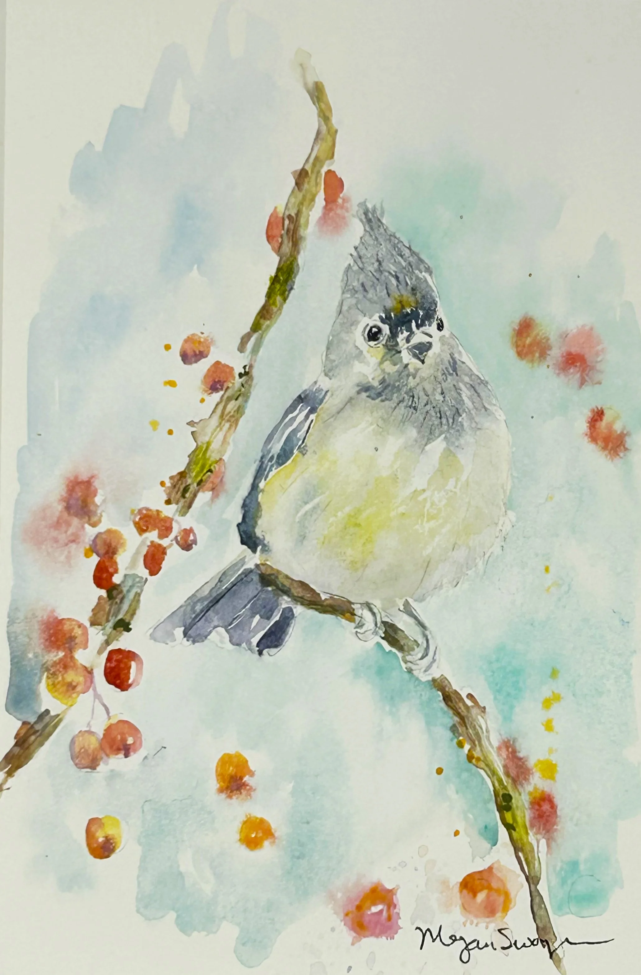 Tufted Titmouse at Dinner Time 