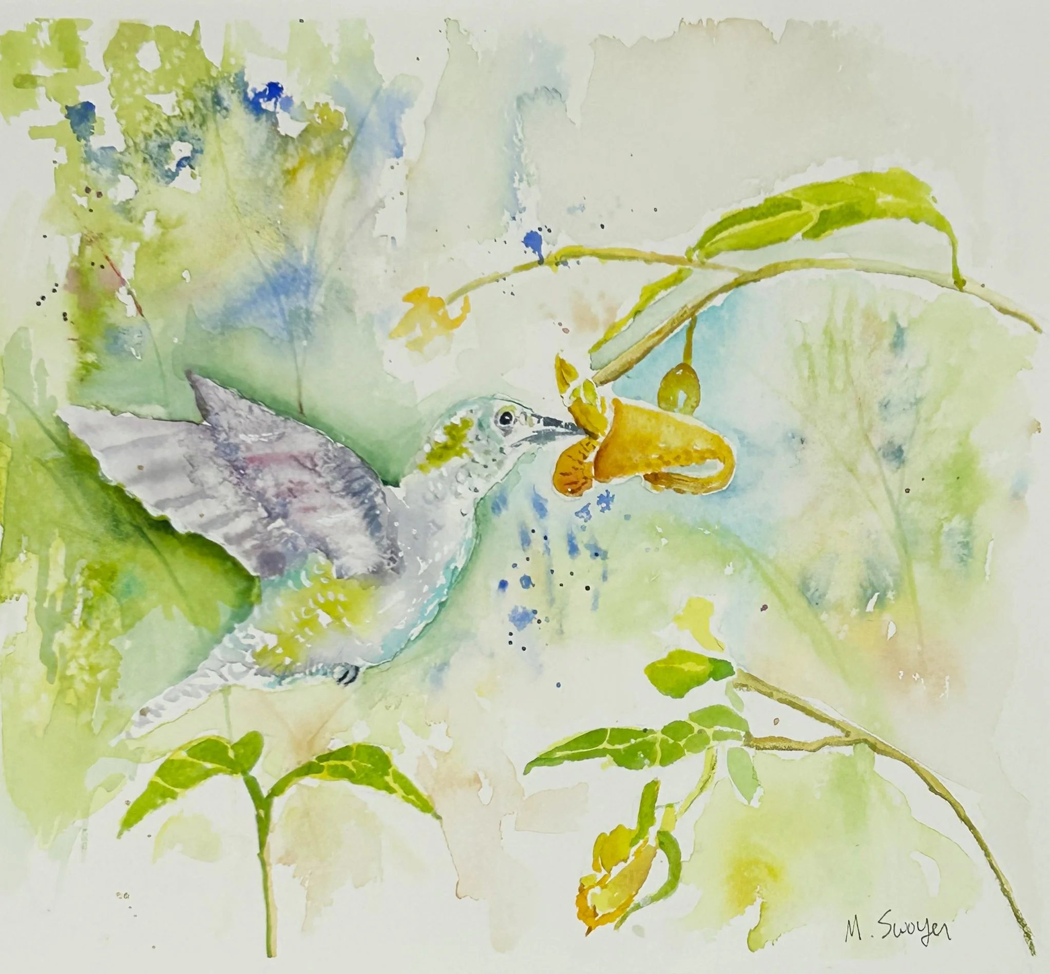 Hummingbird's Dinner Time