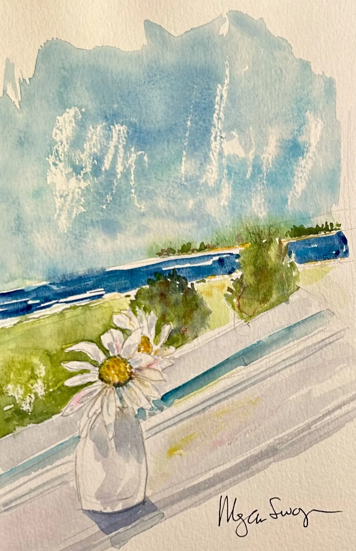 "Daisies by the Window Mission Point" 