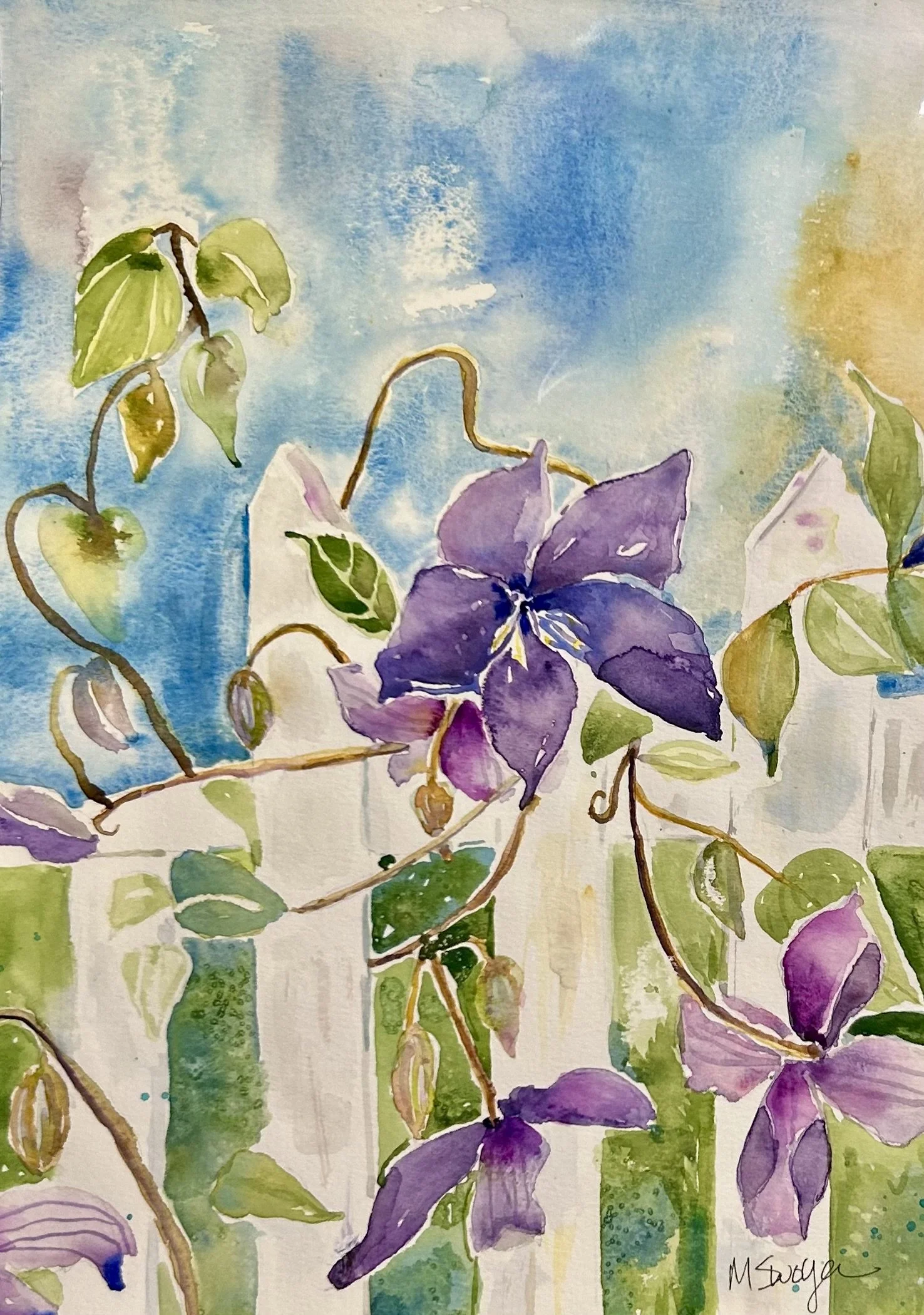 "Clematis on Hill to Bluffs" 