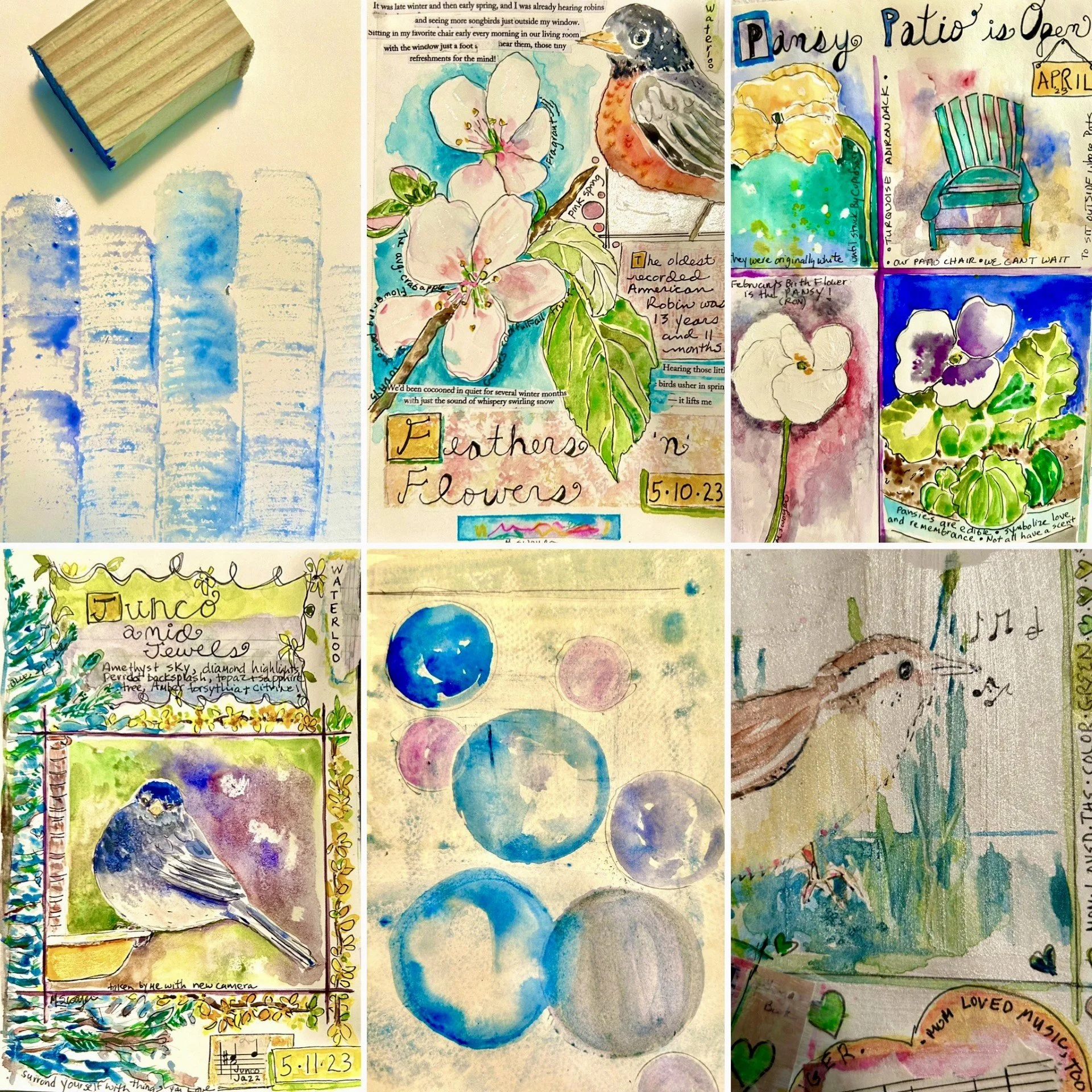 collage.jpg