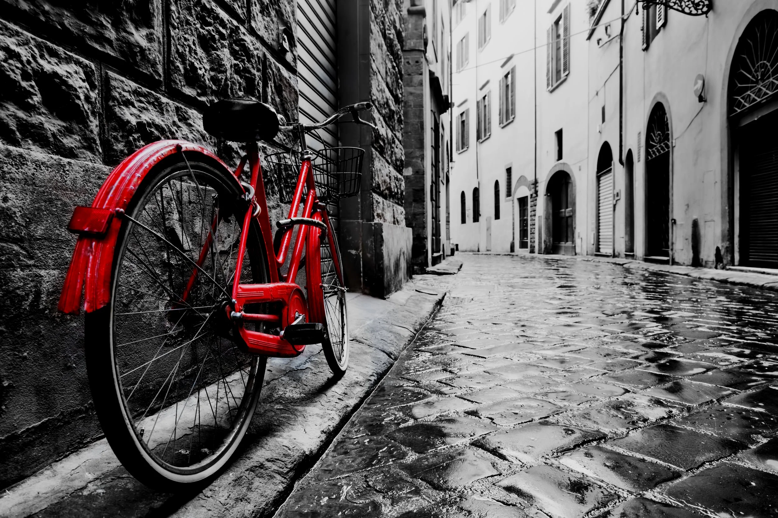 AdobeStock_95275197.jpg