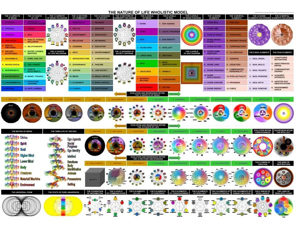THE NATURE OF LIFE WHOLISTIC MODEL WALLCHART.jpg