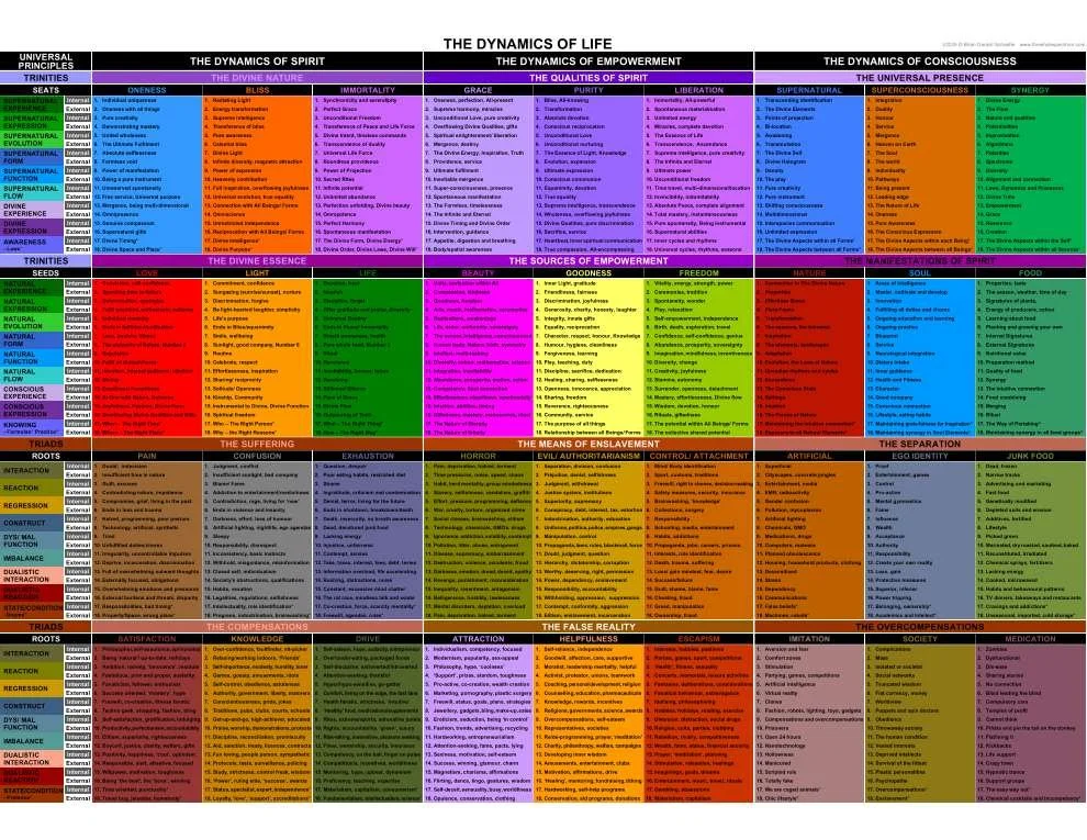 THE DYNAMICS OF LIFE WALLCHART.jpg
