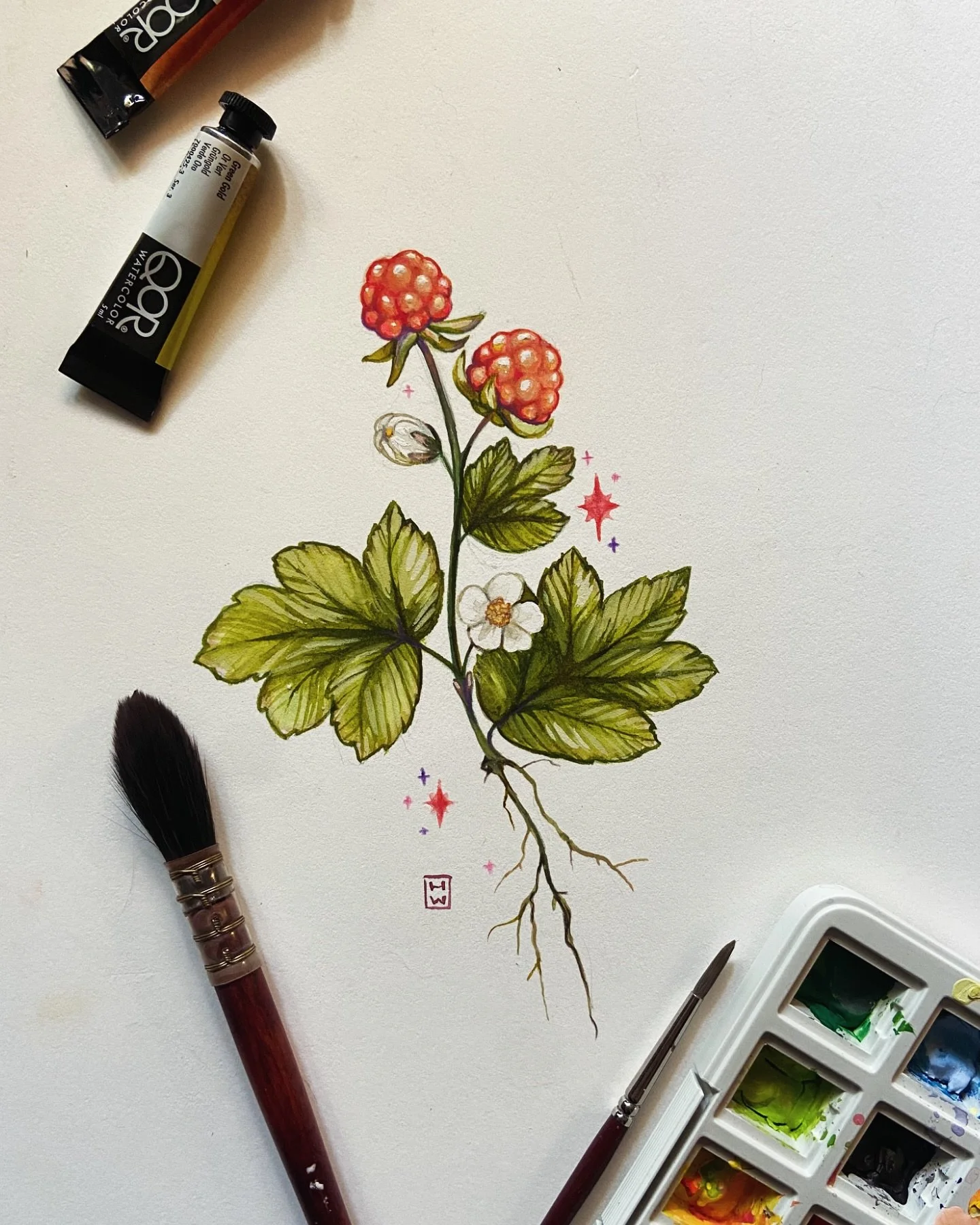 Some watercolour + gouache cloudberries for you ✨🌿🧡🩷